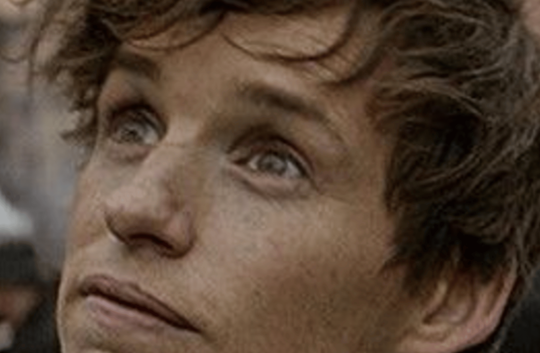 newt Scamander