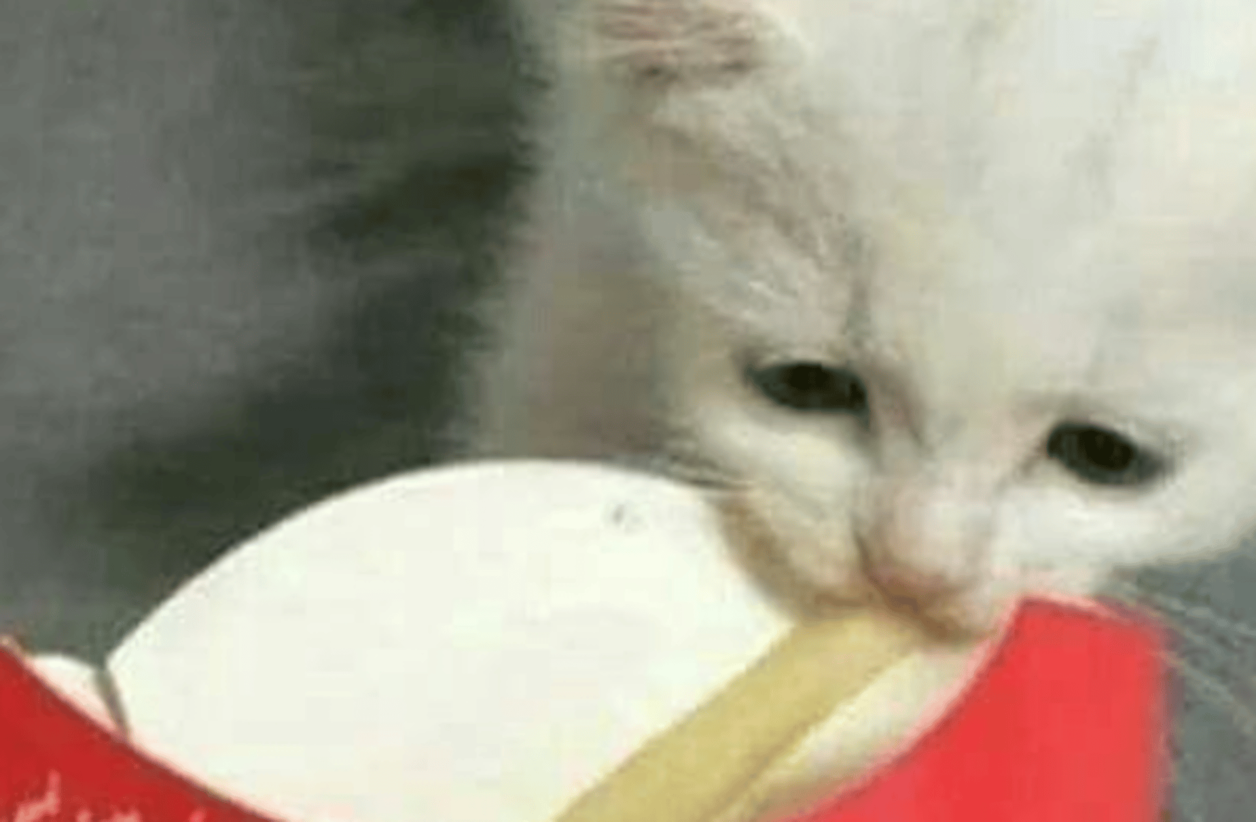 Jeongin