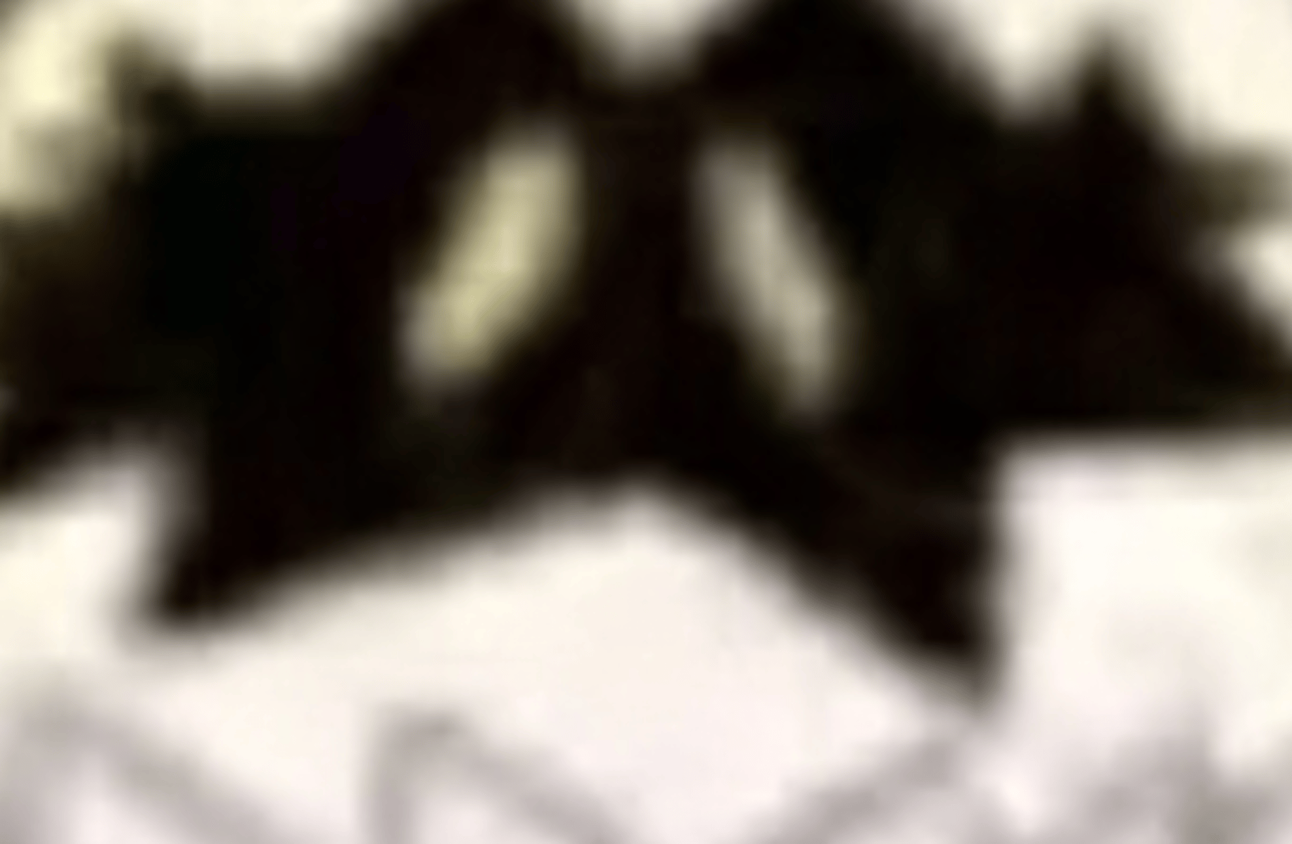 Flimmy