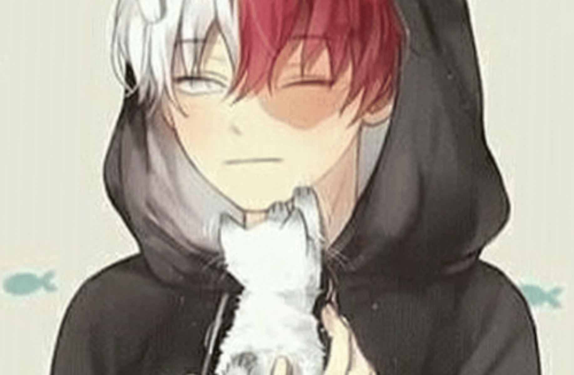Shoto Fidanzato