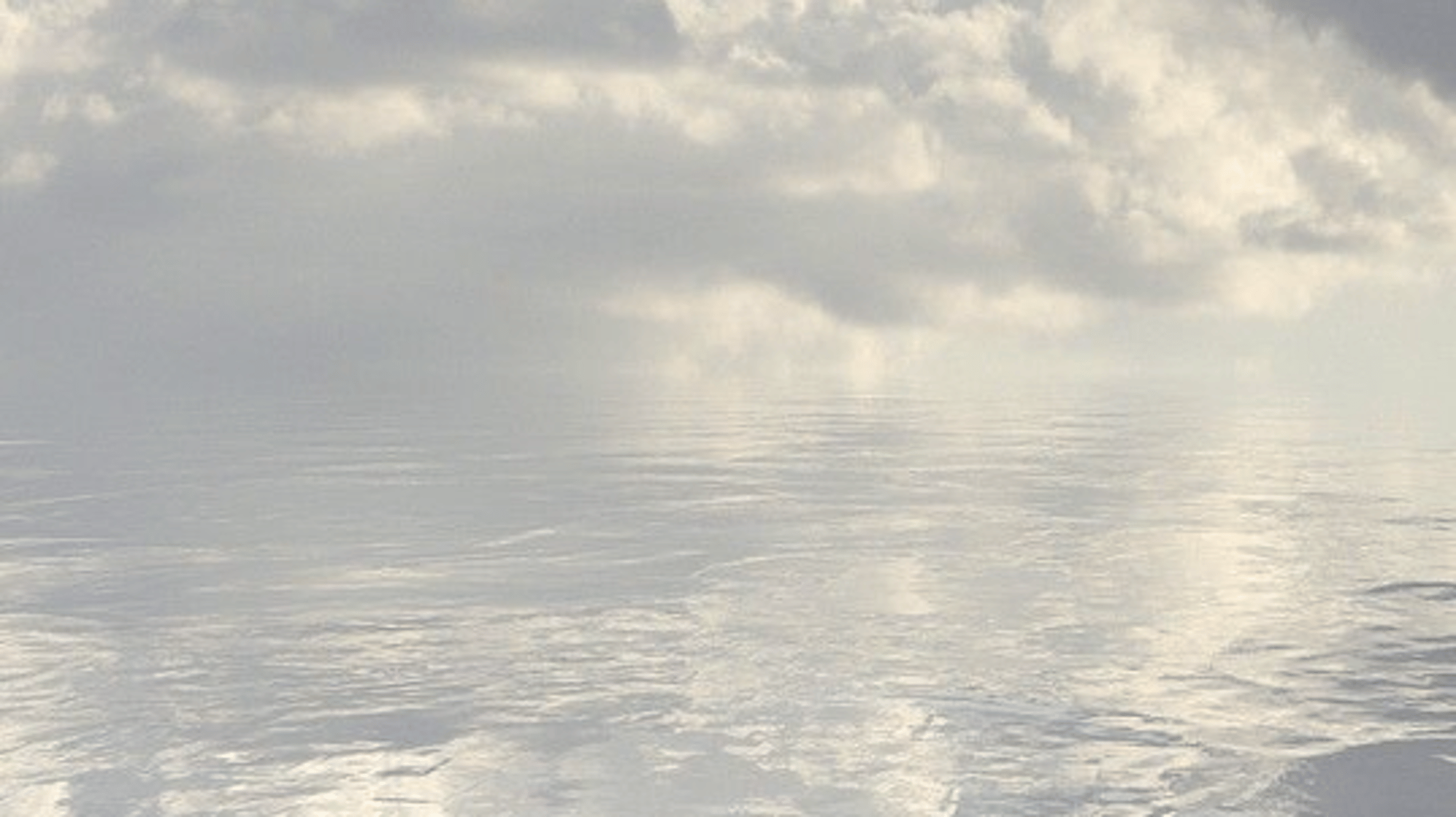 Li Wei