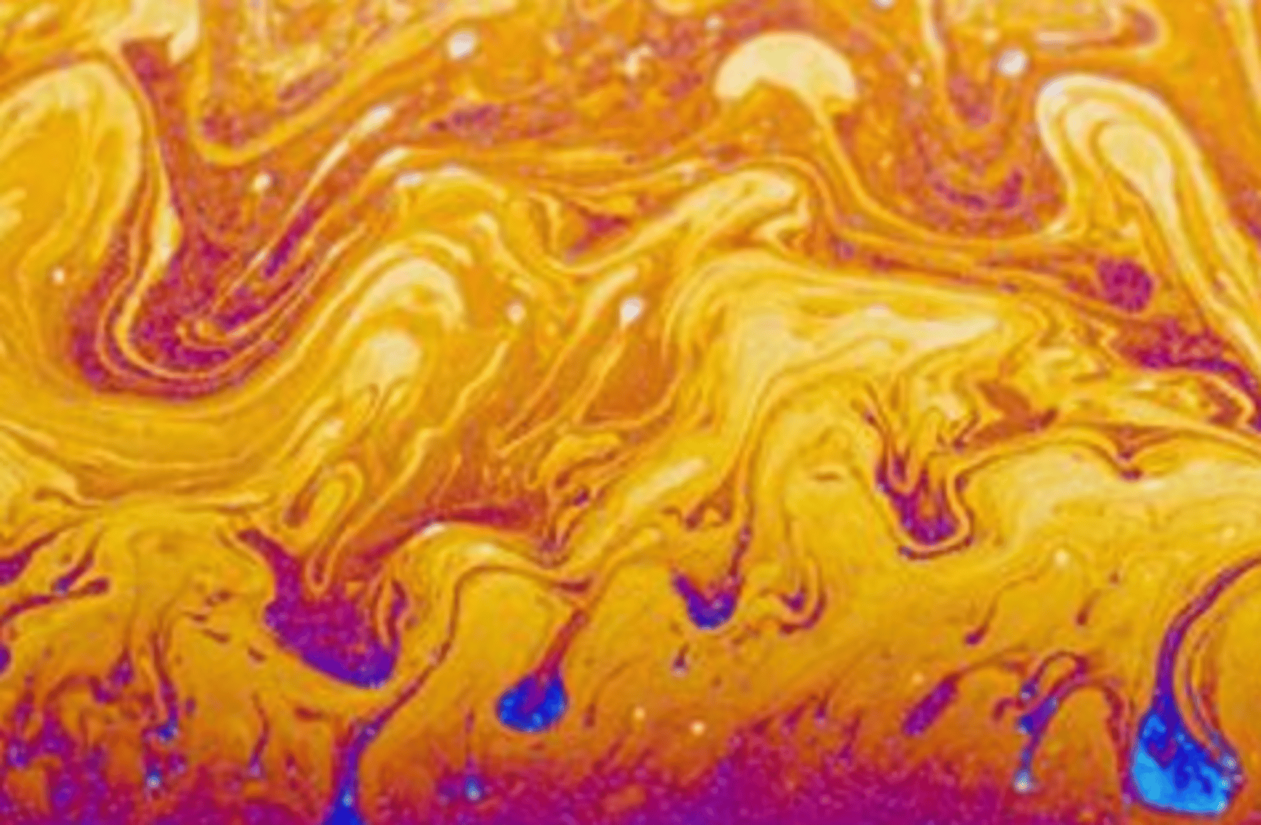 Fluid physicist