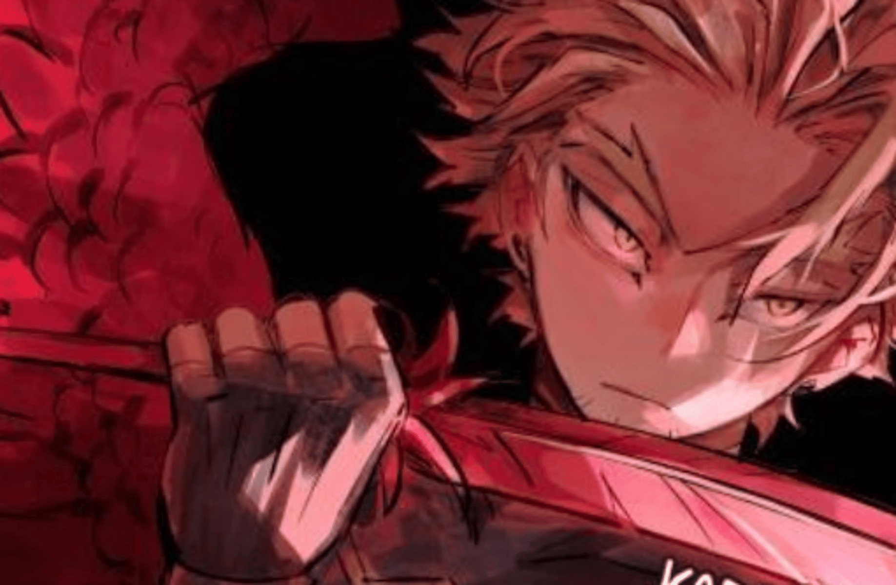 Hawks
