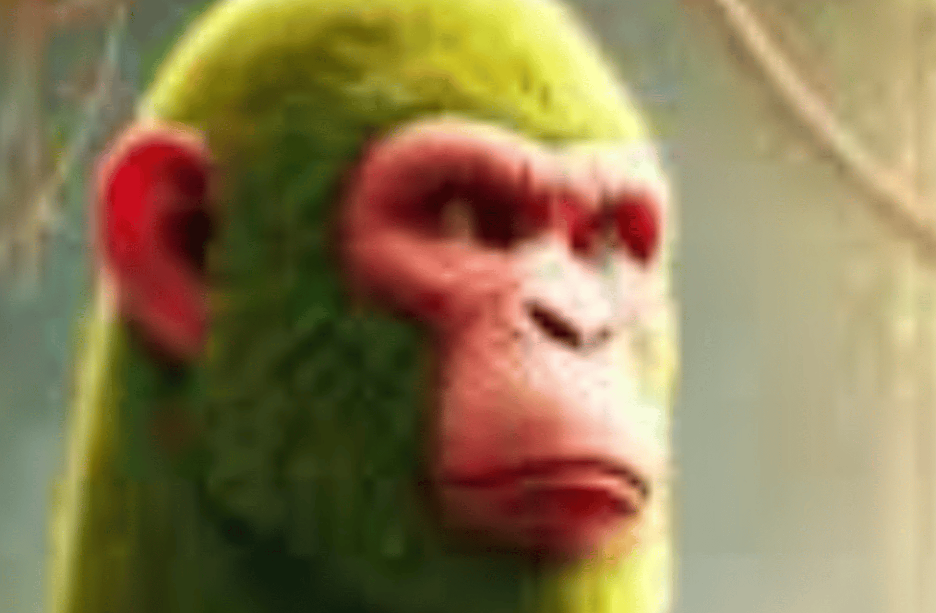 Chimpanzini Bananini