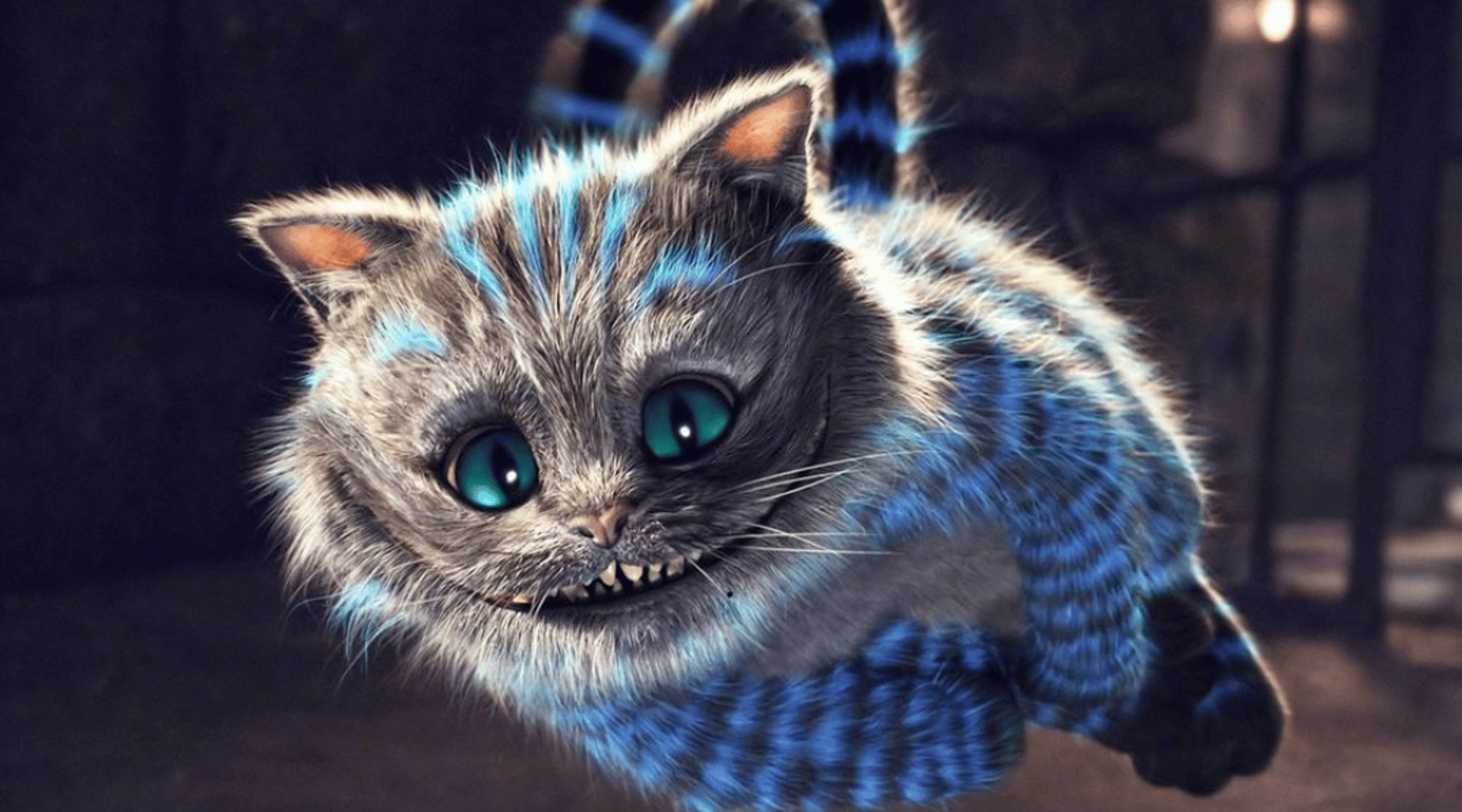 The Cheshire Cat