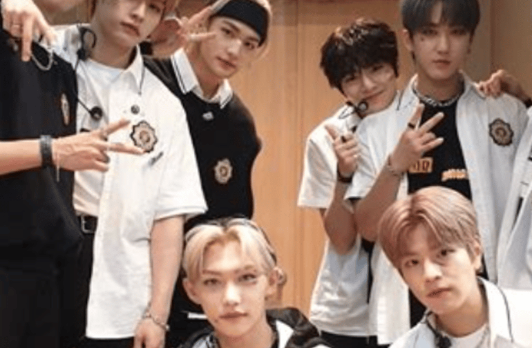 Stray kids