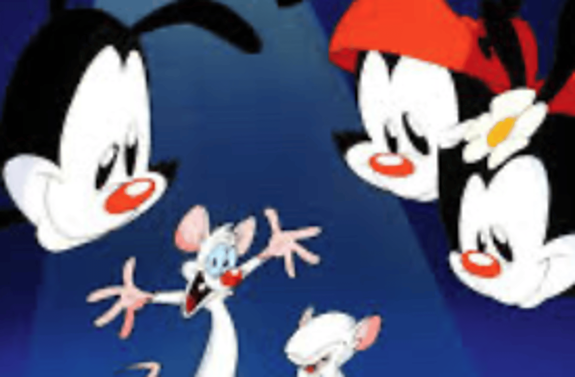 Pinky and the Brain