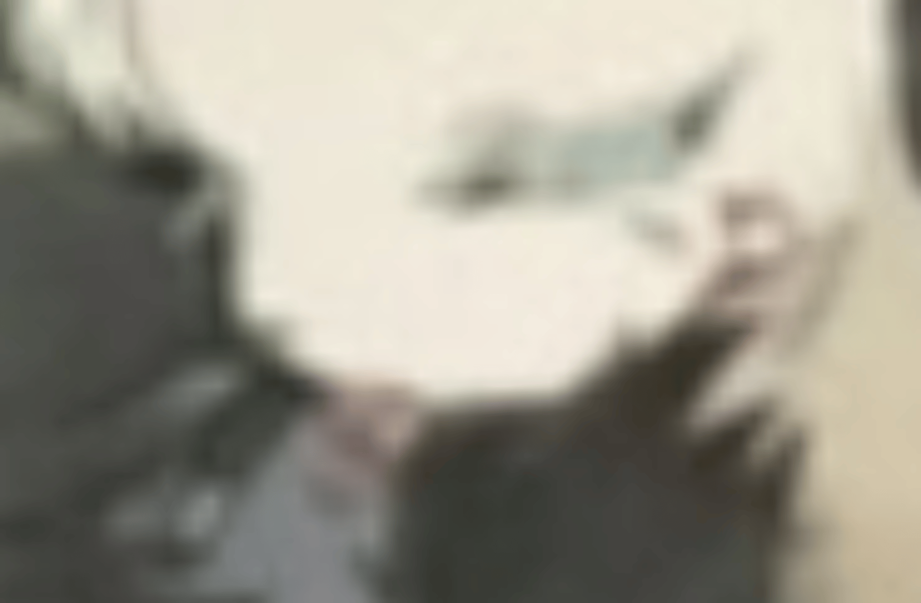Rabbit- BL