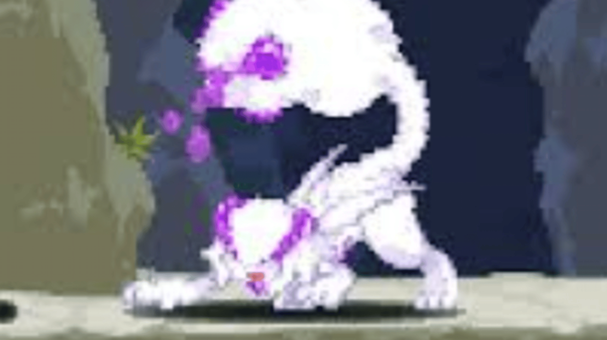 Echidna wars dx