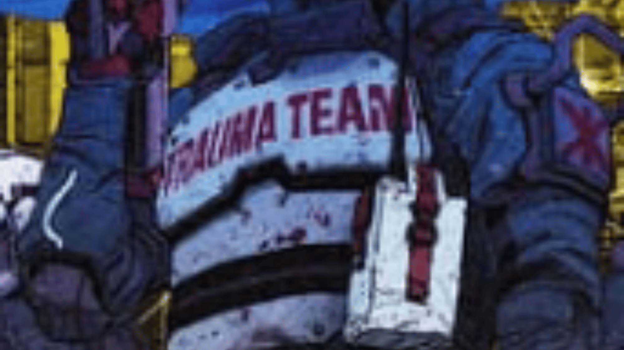 Trauma team member