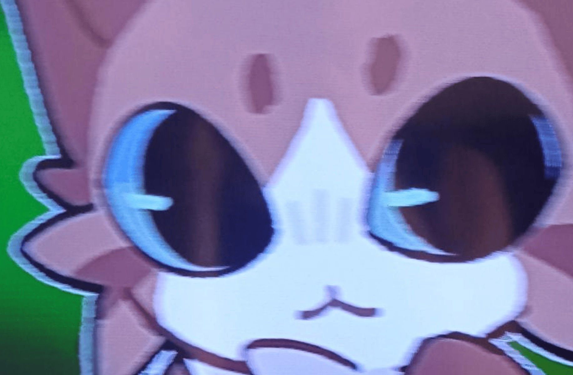 Meowl