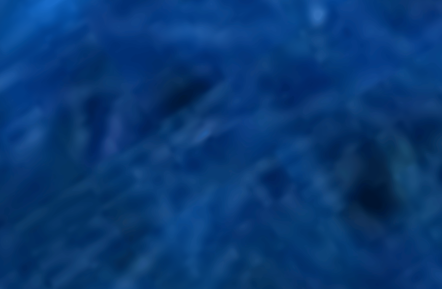 Plant(La Sad)