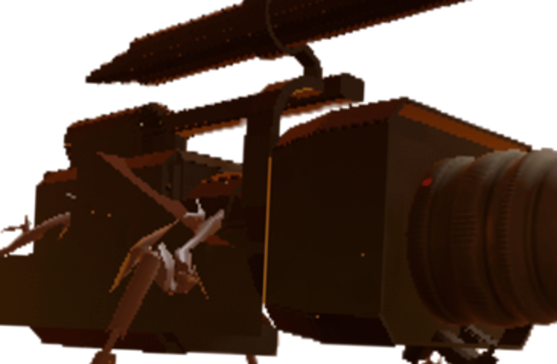 Cameraman Parasite