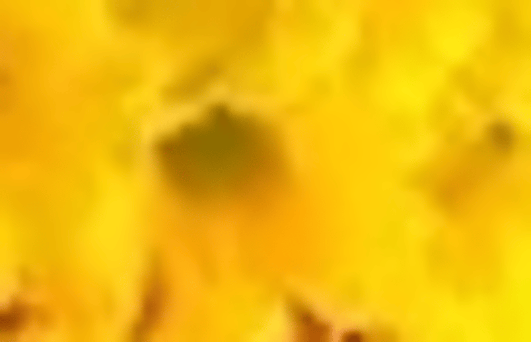 Your divorced husband