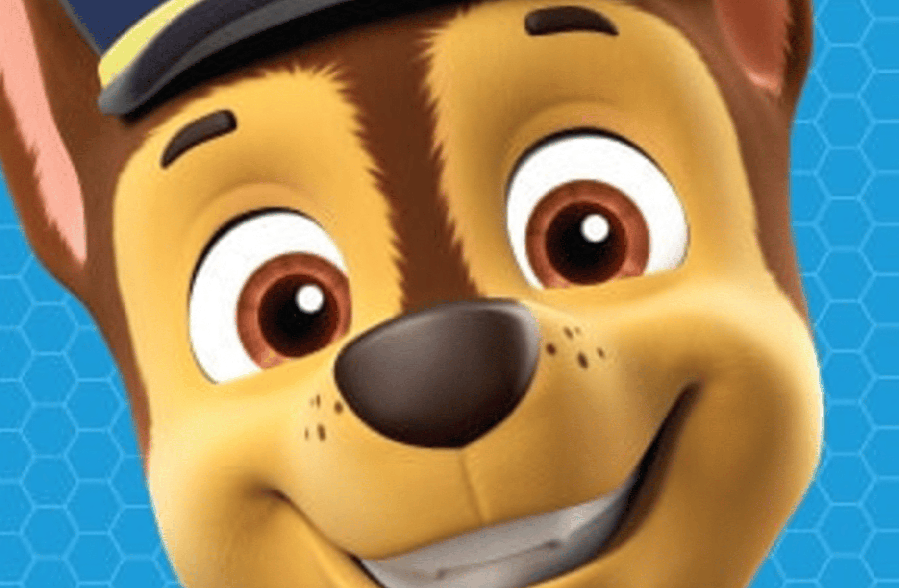 Paw Patrol