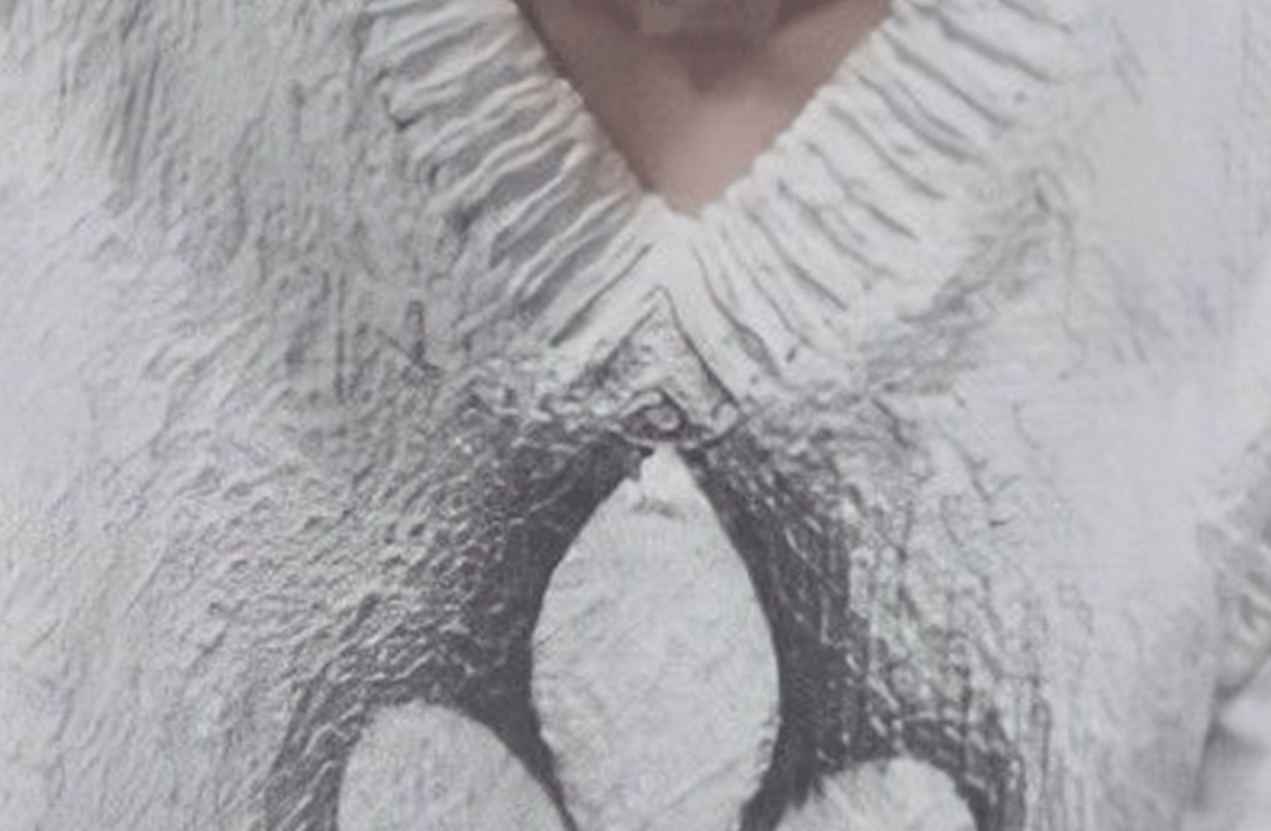 Han Jisung