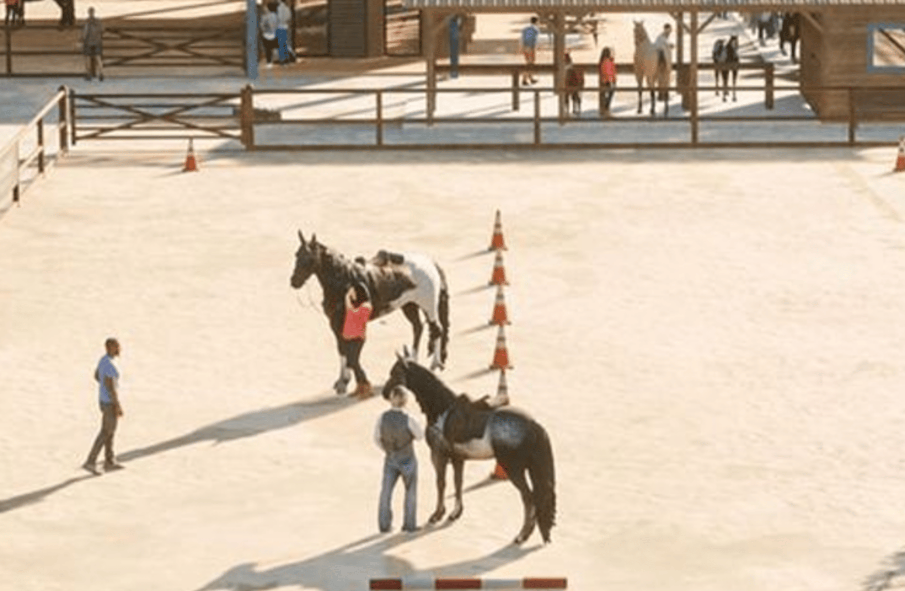 Equestrian club