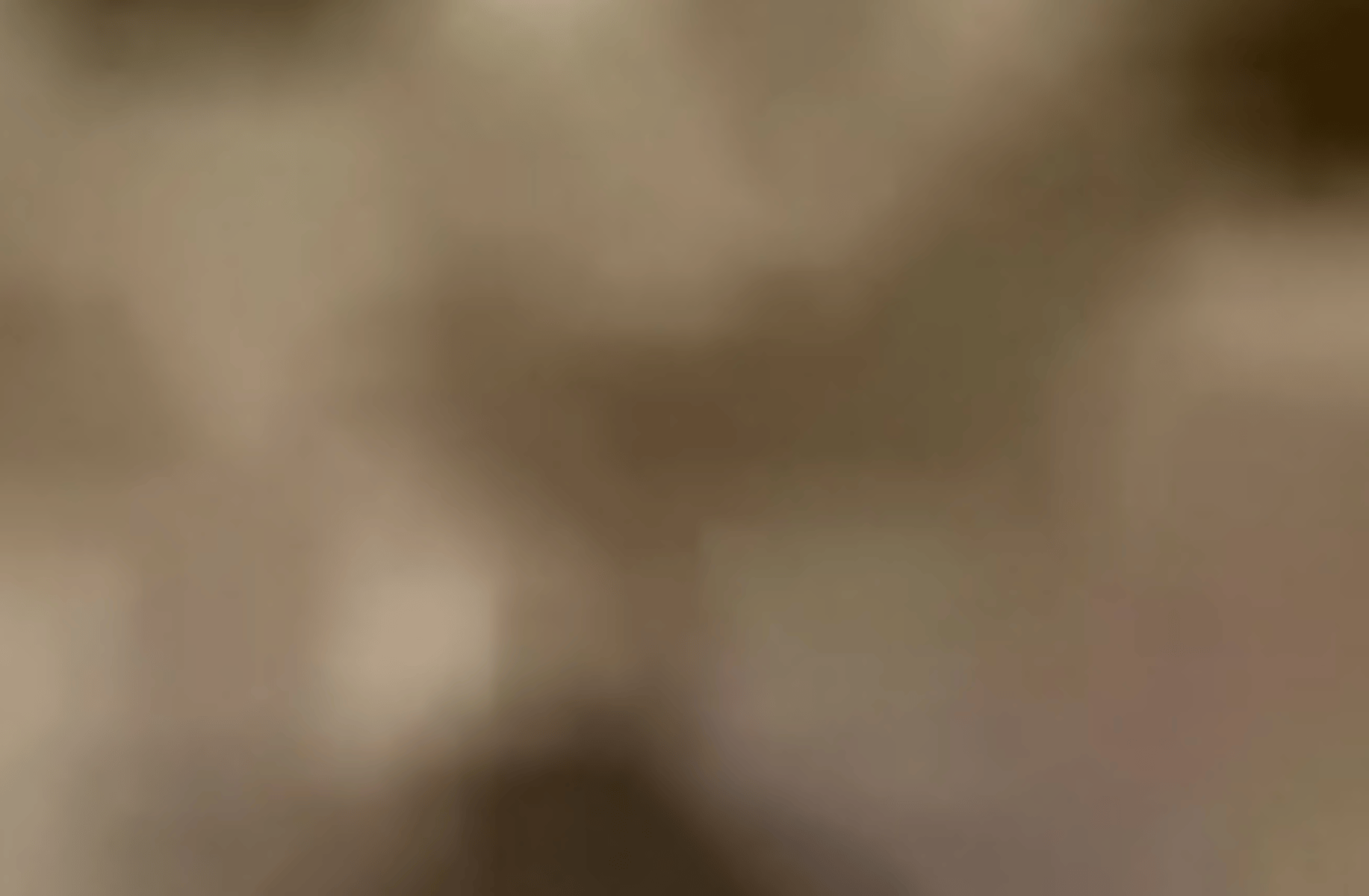 mn