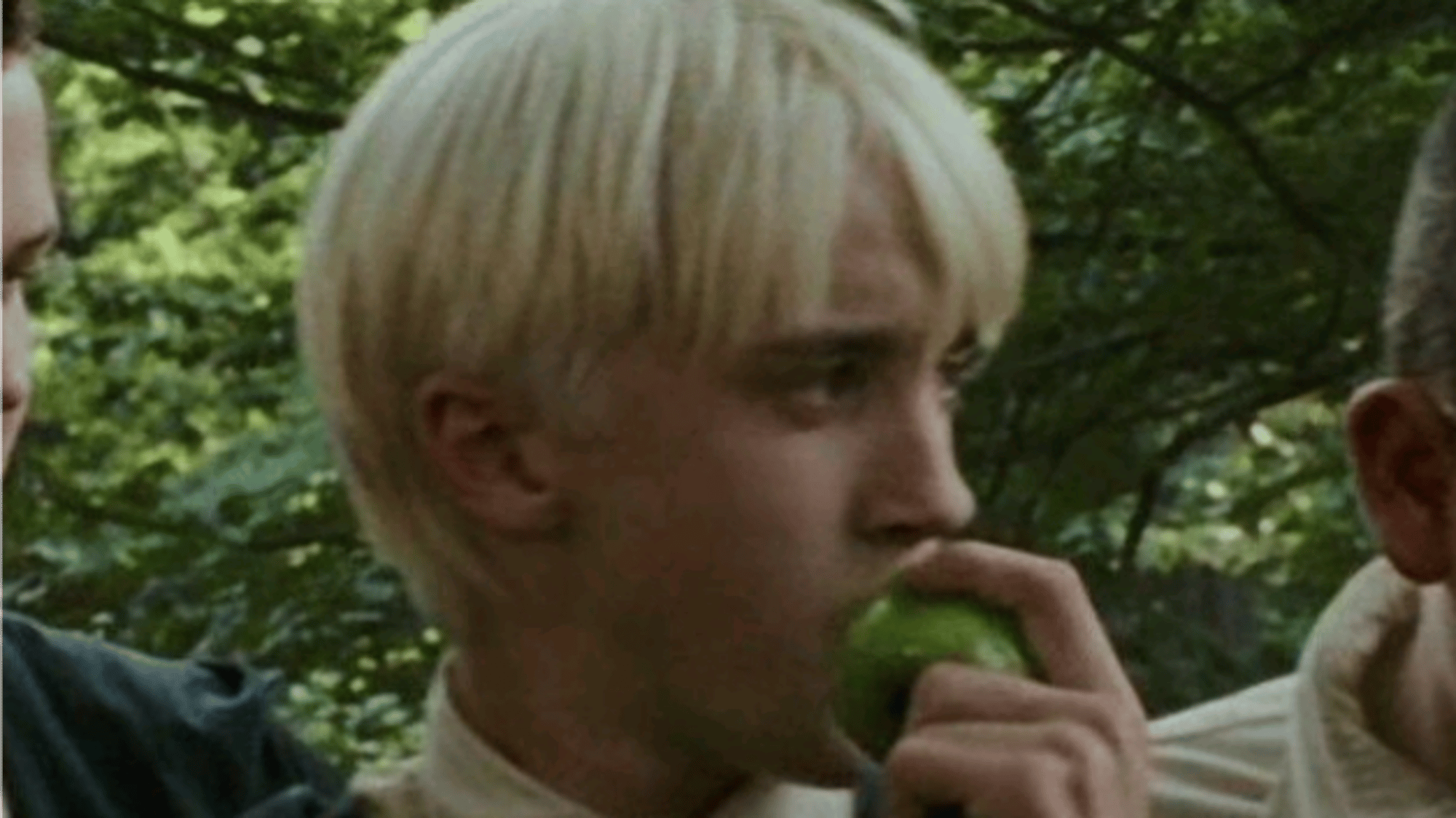 DRACO L MALFOY