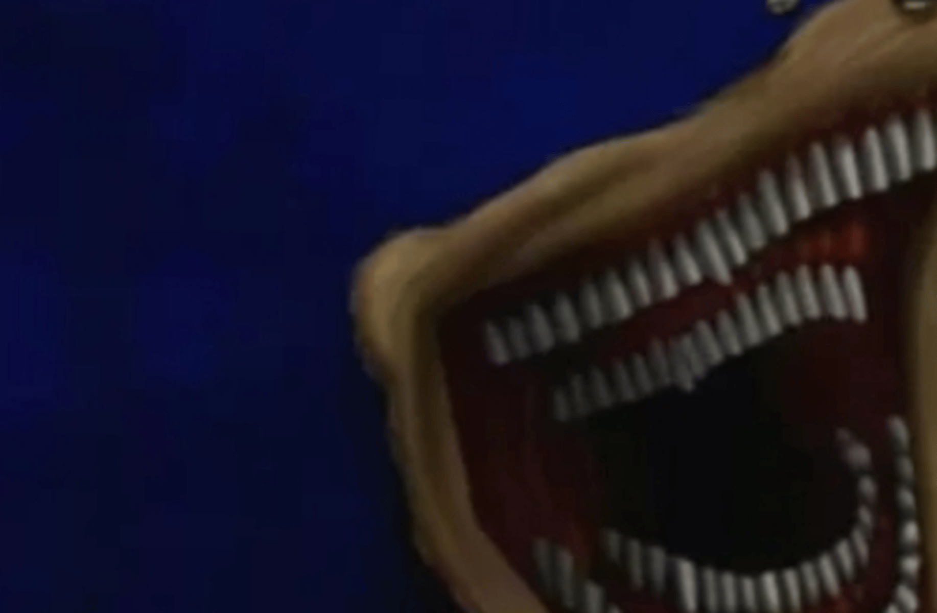 shin sonic