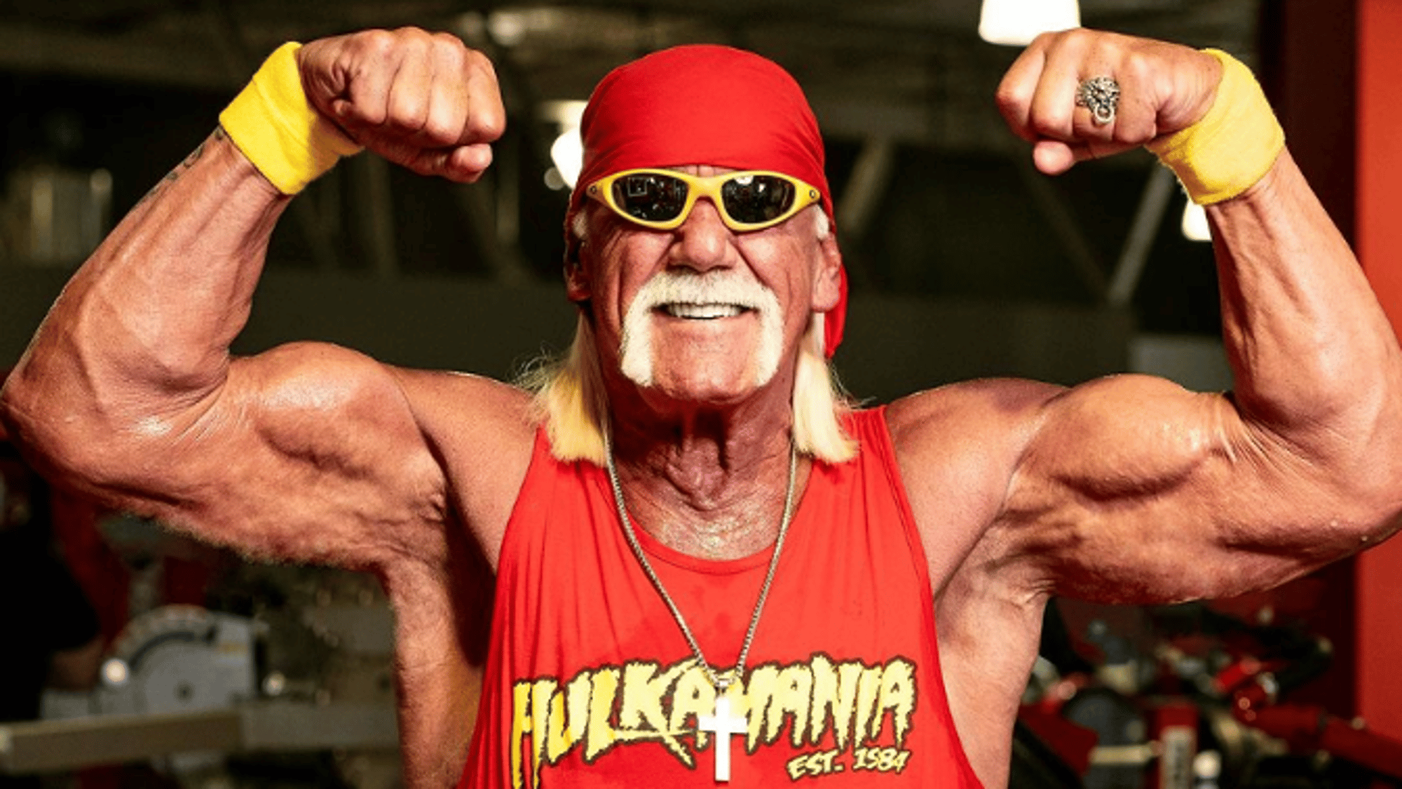 Hulk Hogan