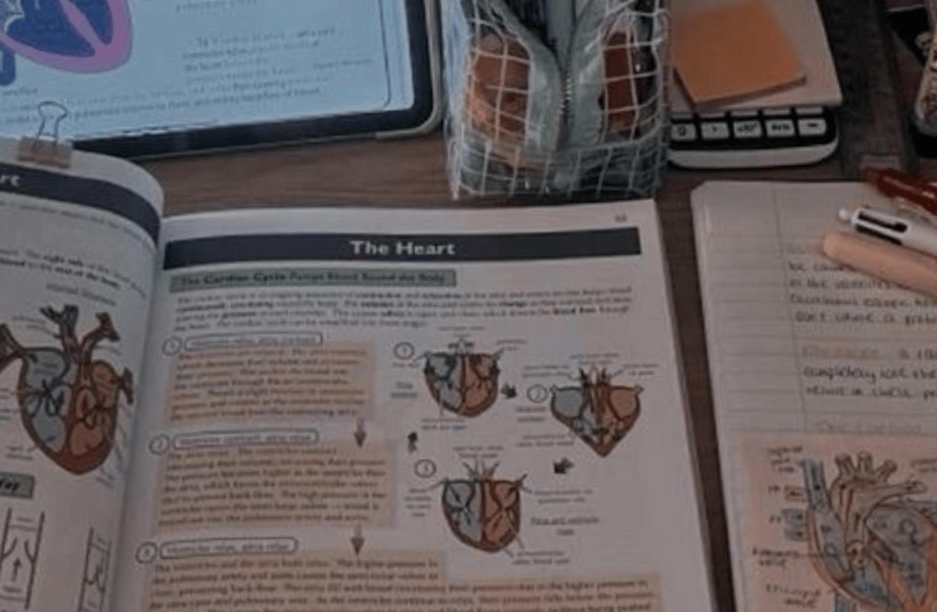 Autoimmune Specialist