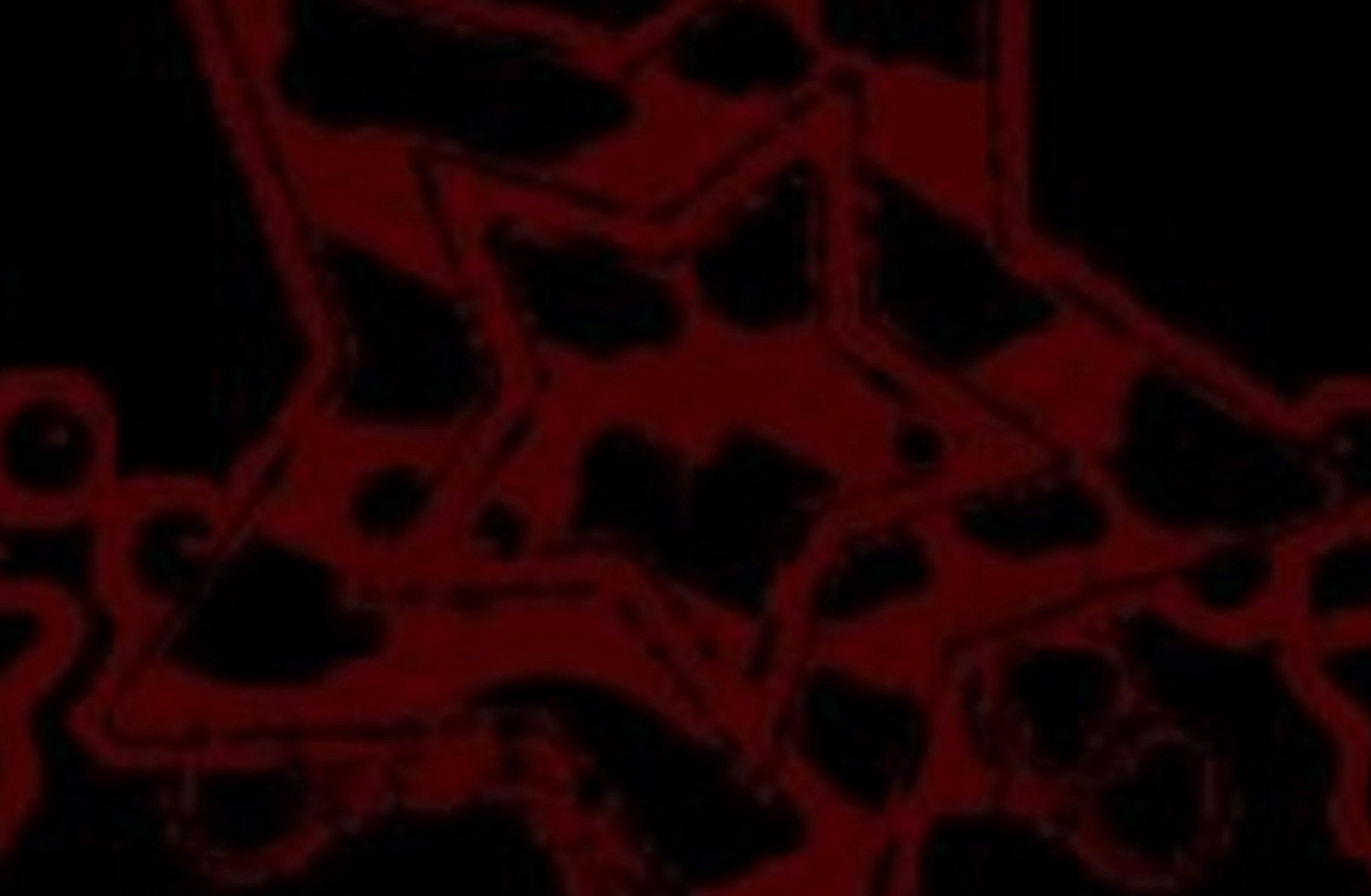 Andrew and Ashley Graves