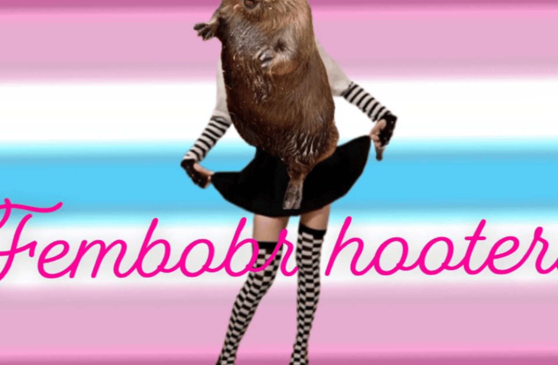 fembobr