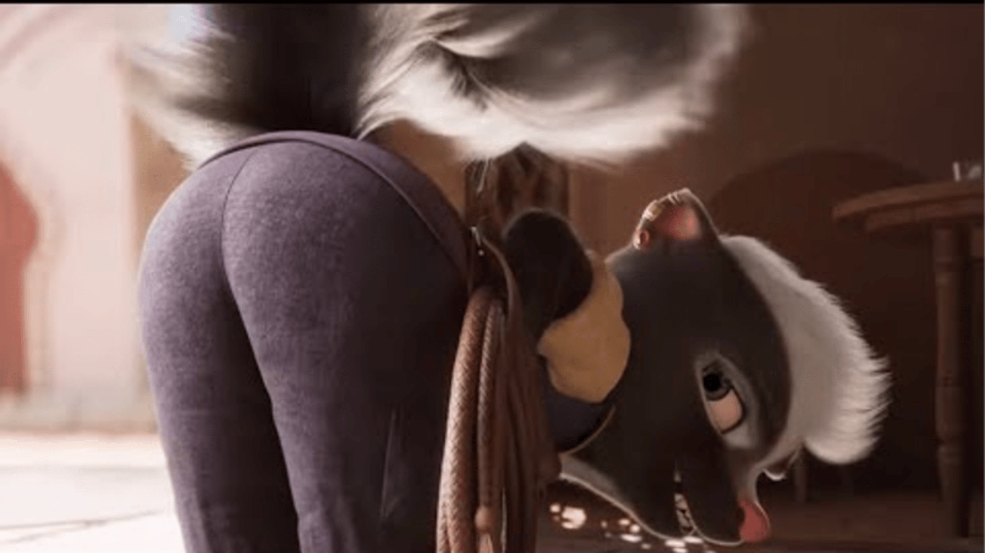 Meg skunk