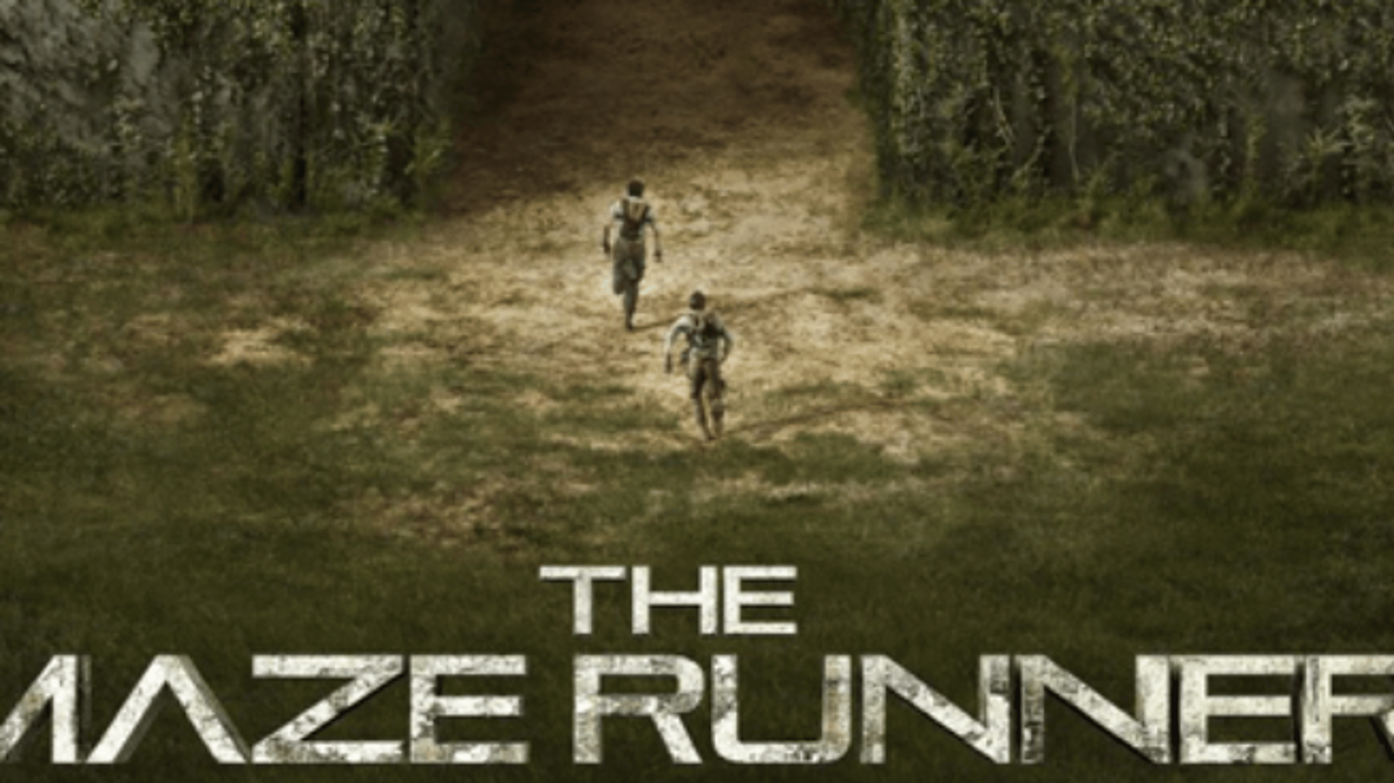 Gally -Maze Runner