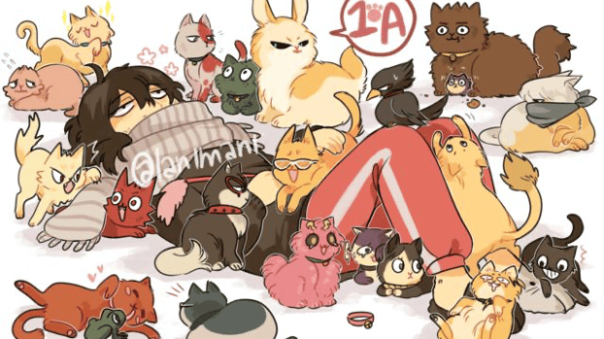 MHA Cats
