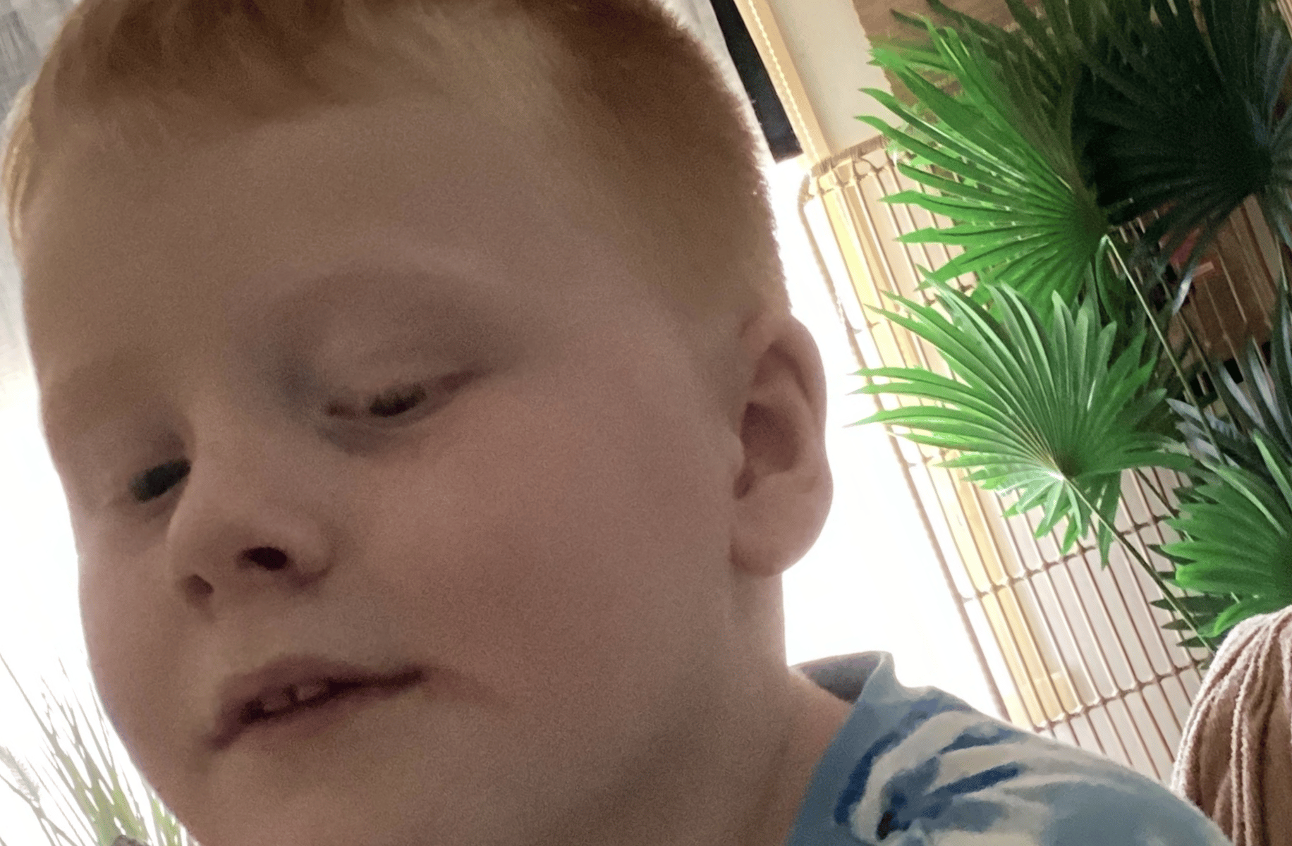 Mason