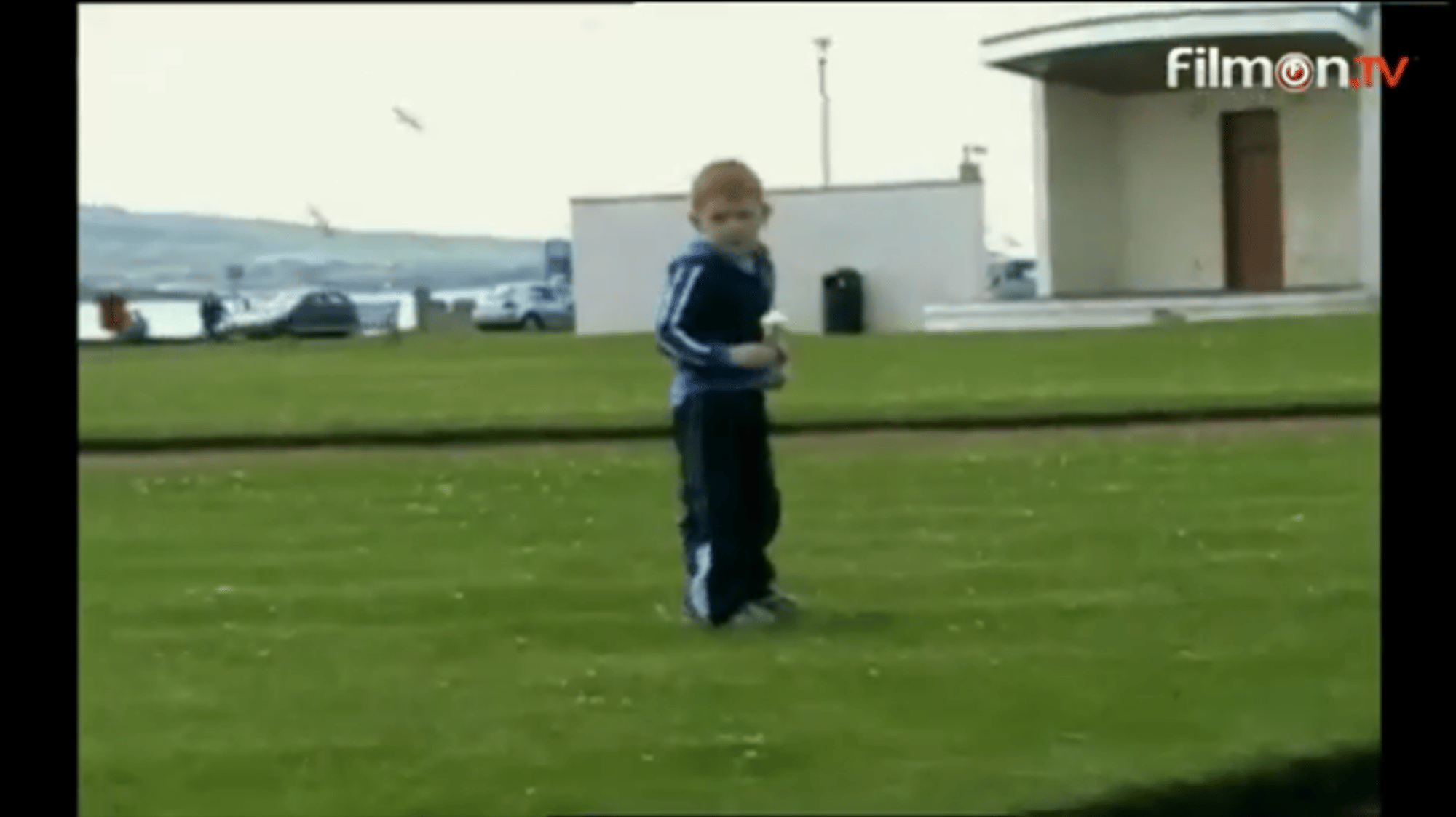 Boy