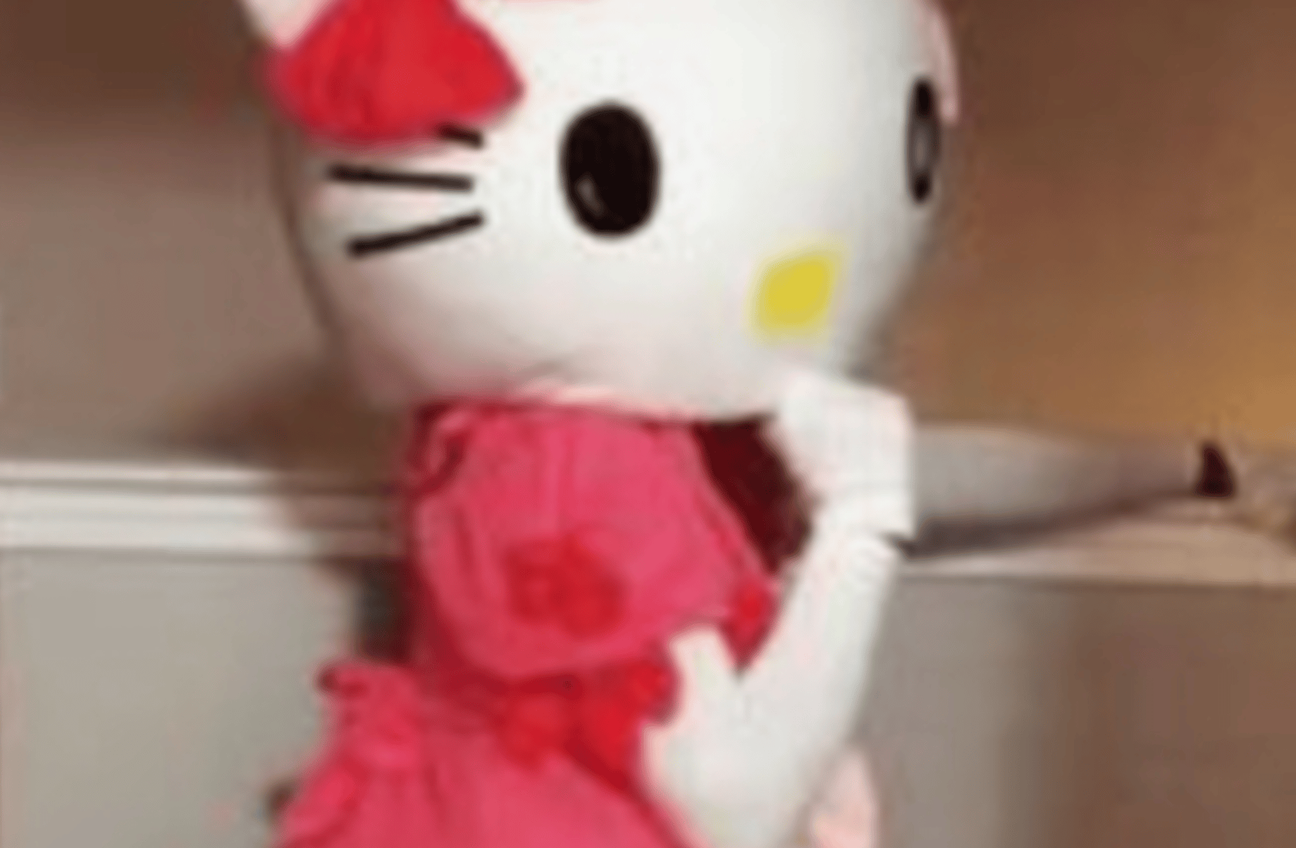 Kitty