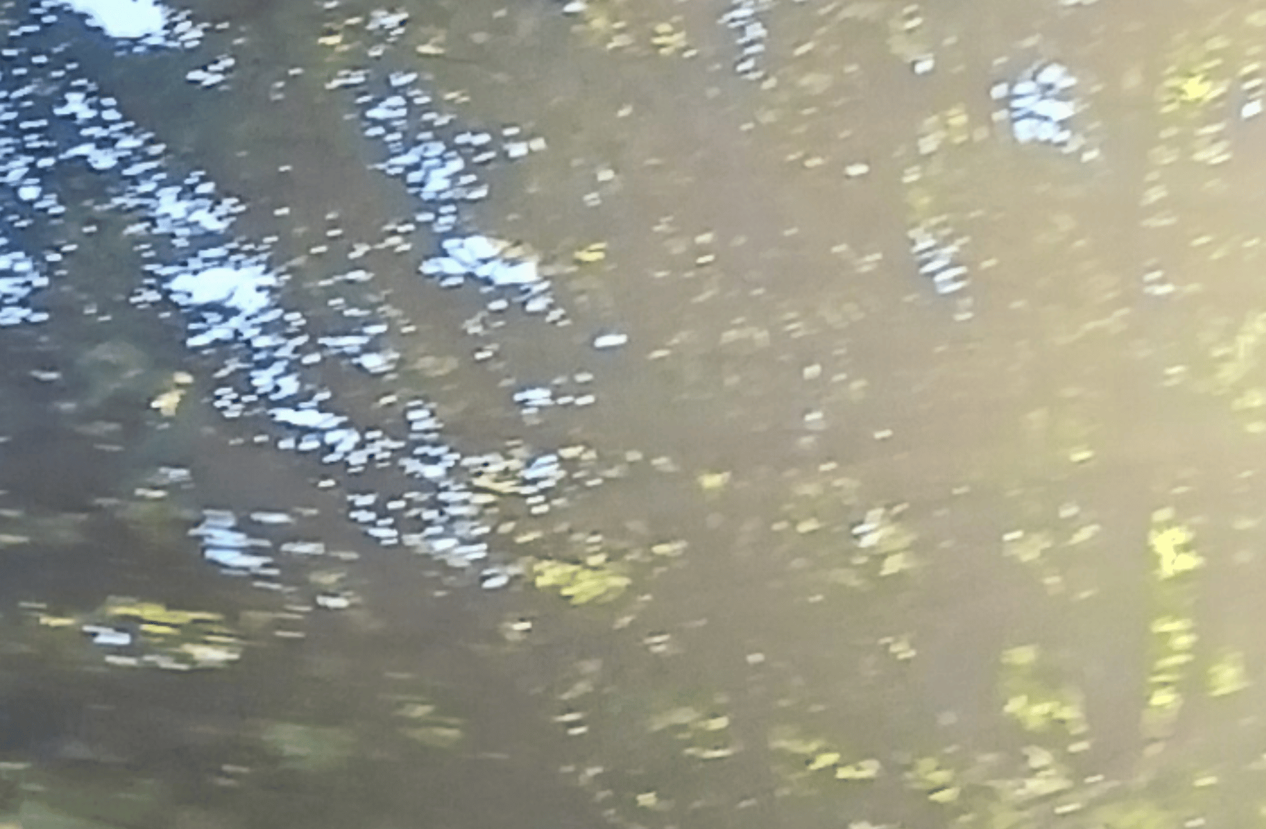 JamatoP