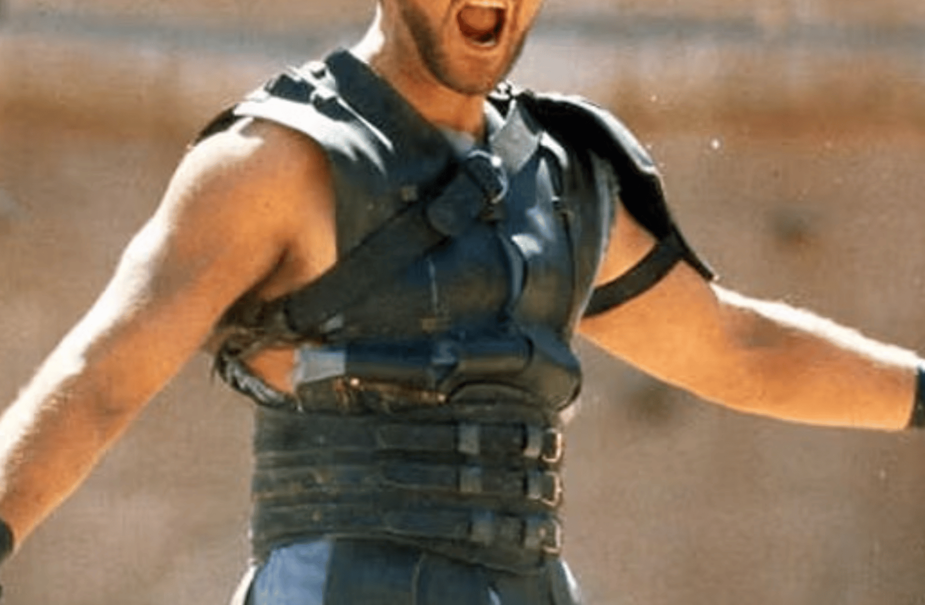 Maximus Decimus Meridius