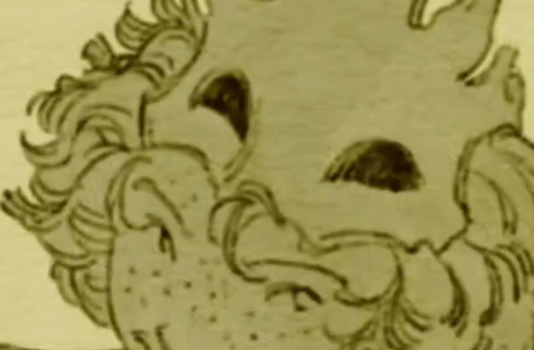Kingsley - Yaelokre