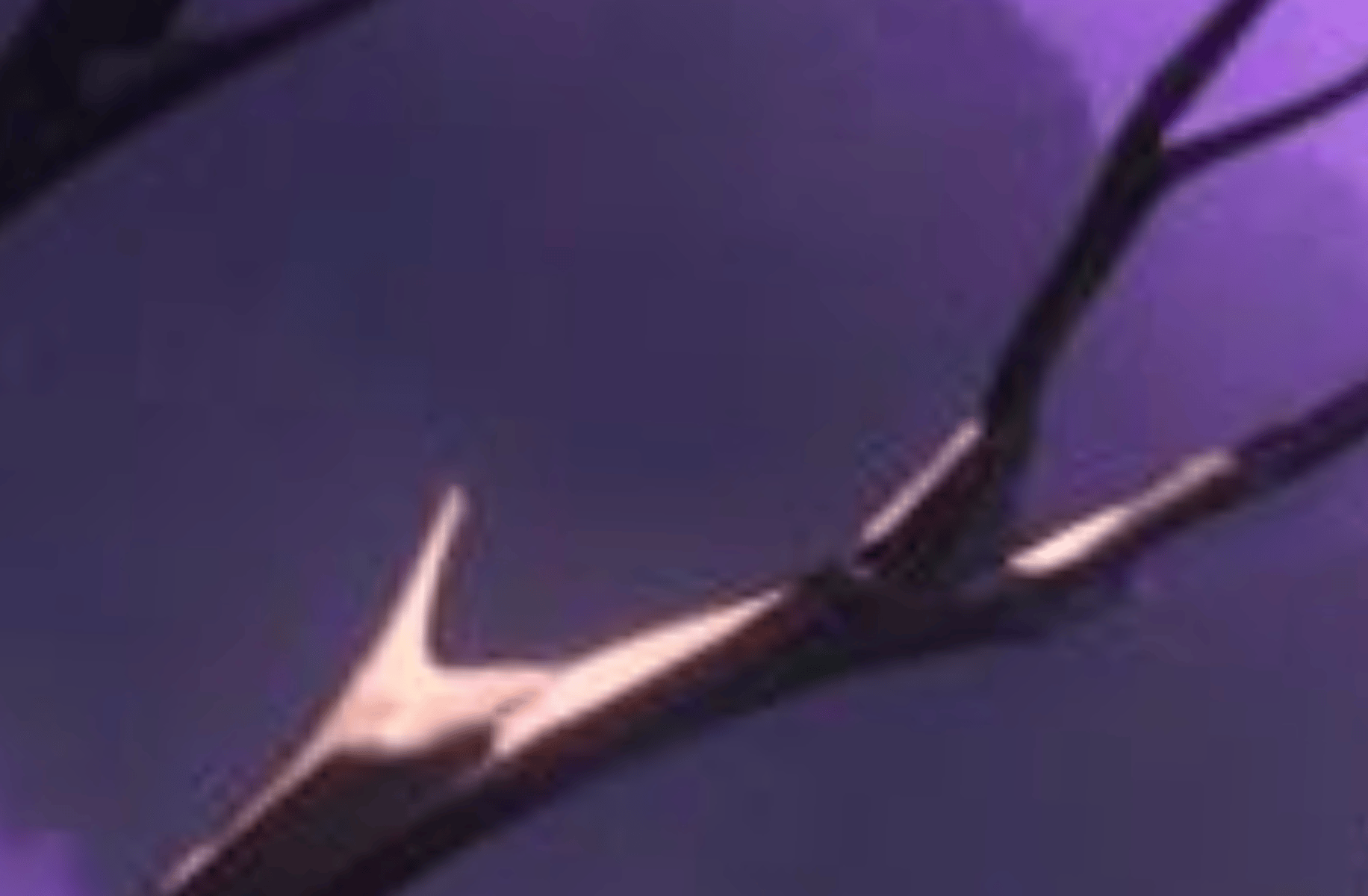 Master Su Ka