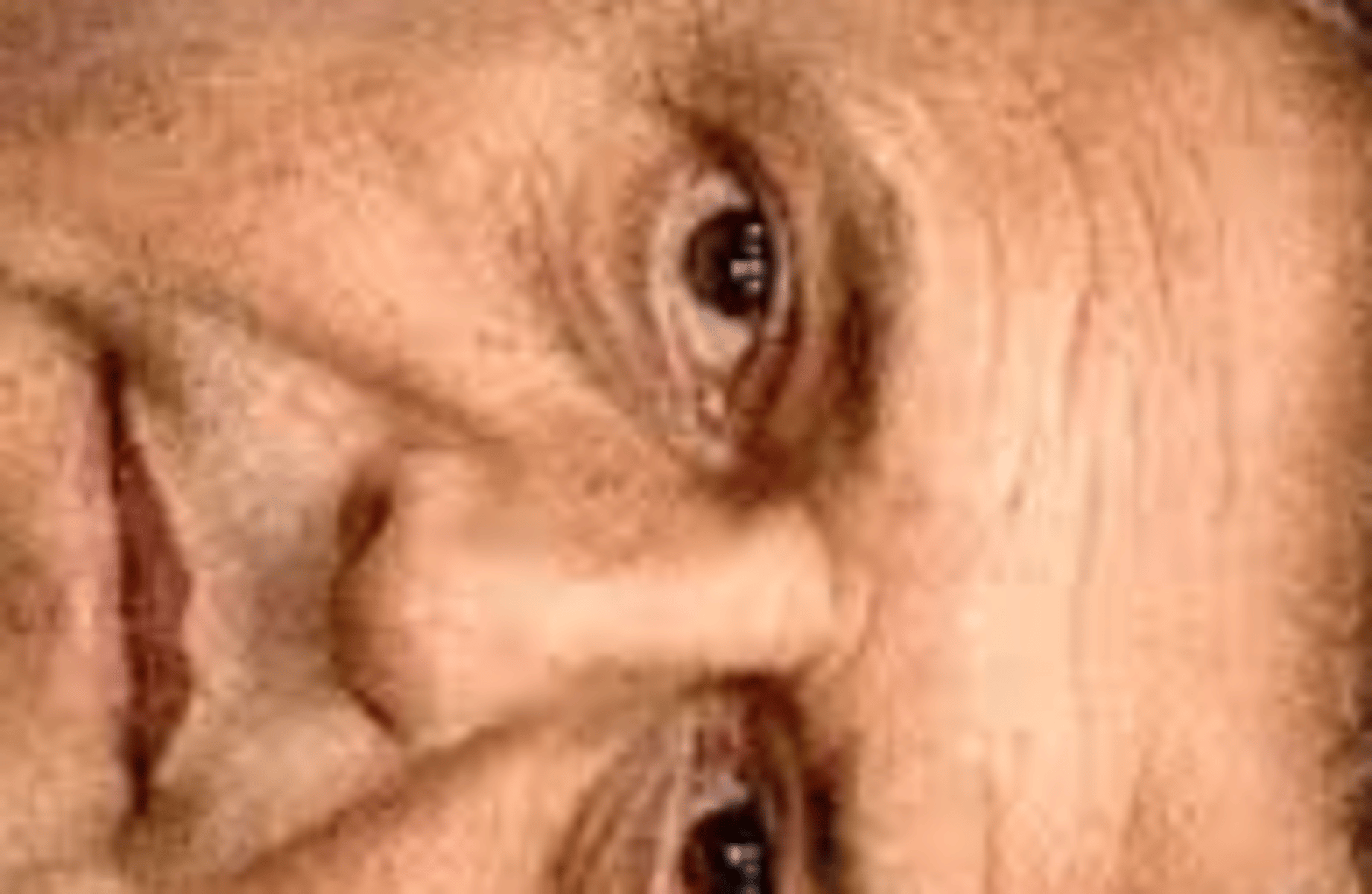 Sergio Massa