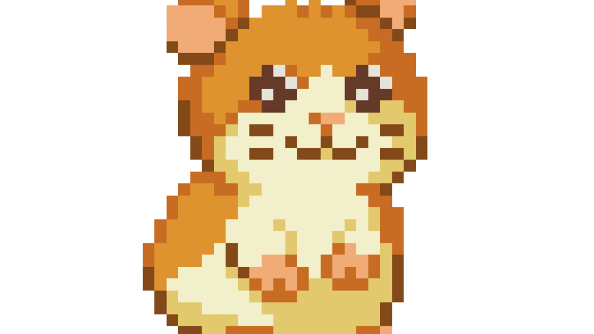 Munchie the hamster
