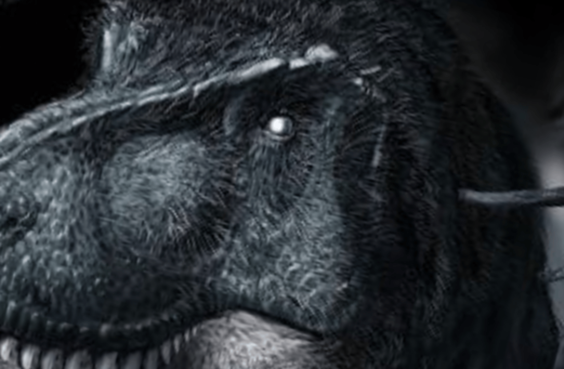 Tyrannosaurus rex King