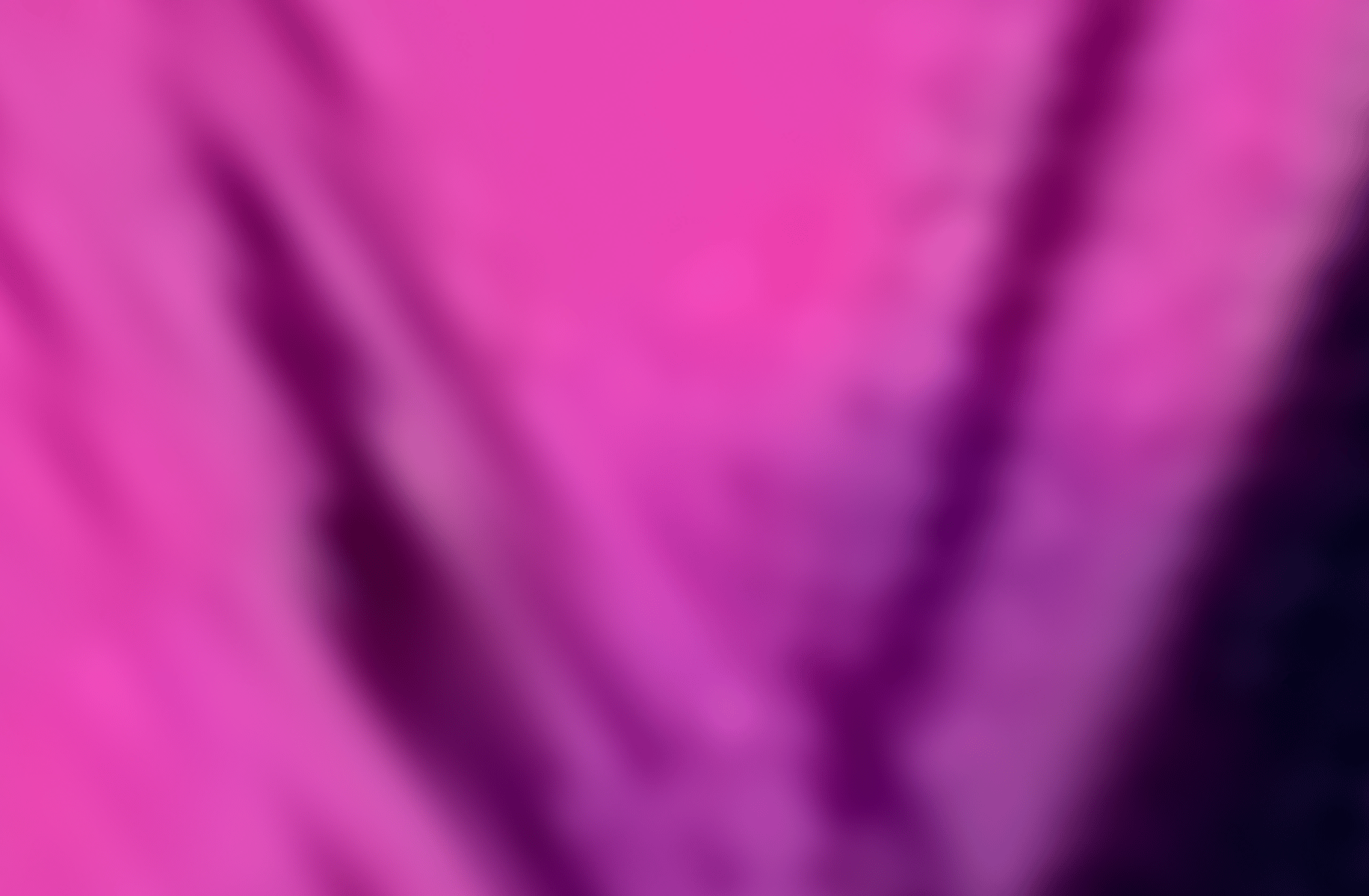 Espio