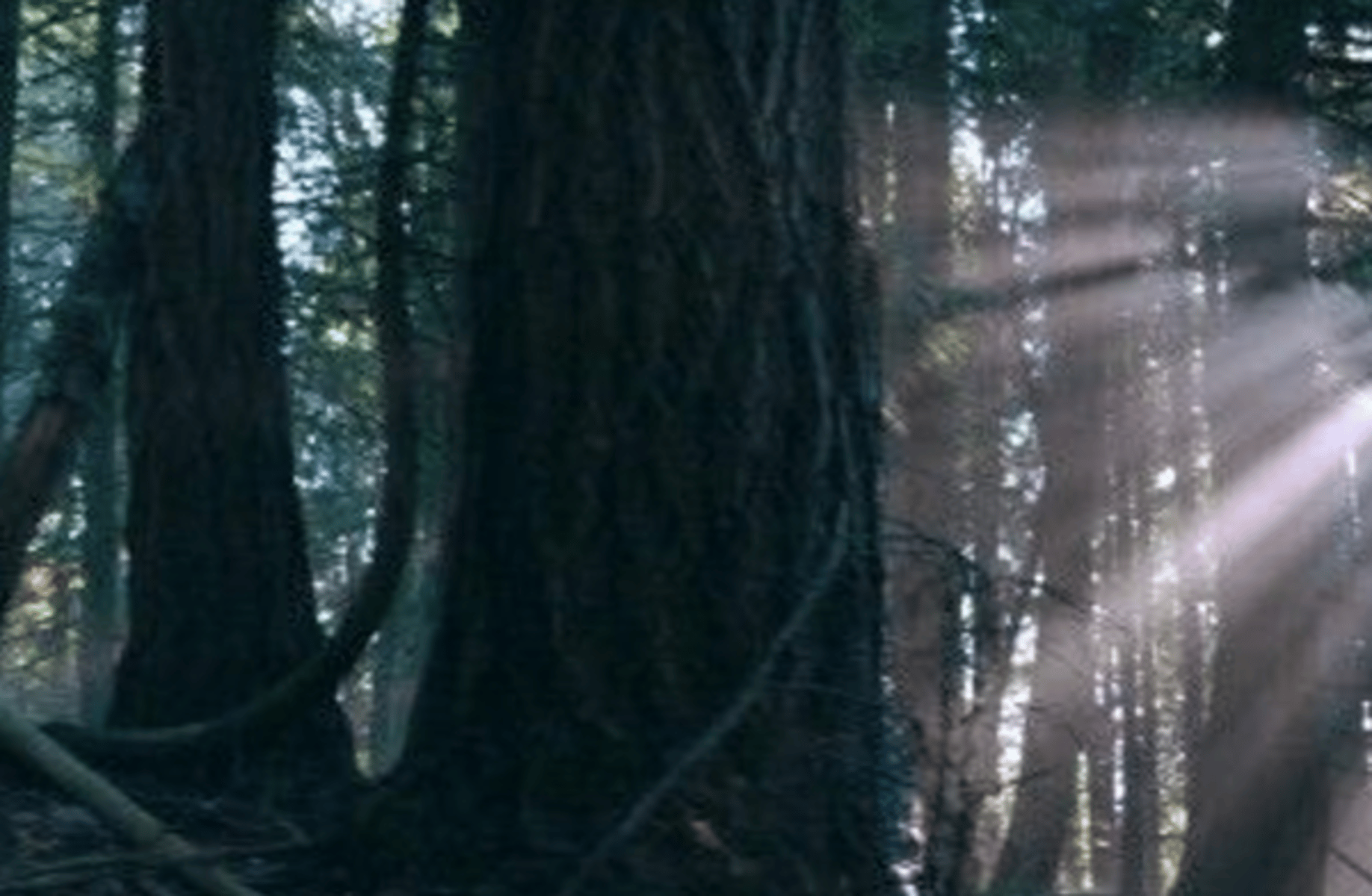 Lexa Kom Trikru