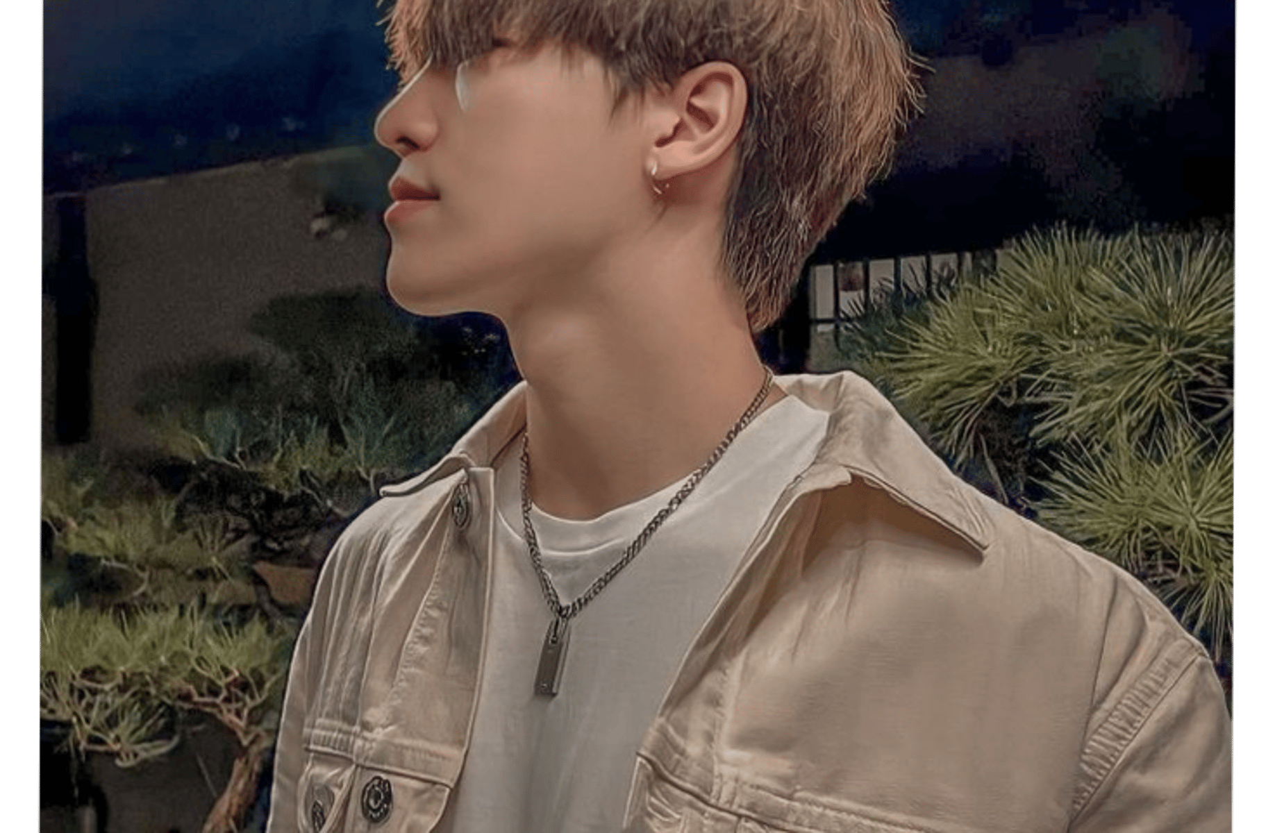 Dino