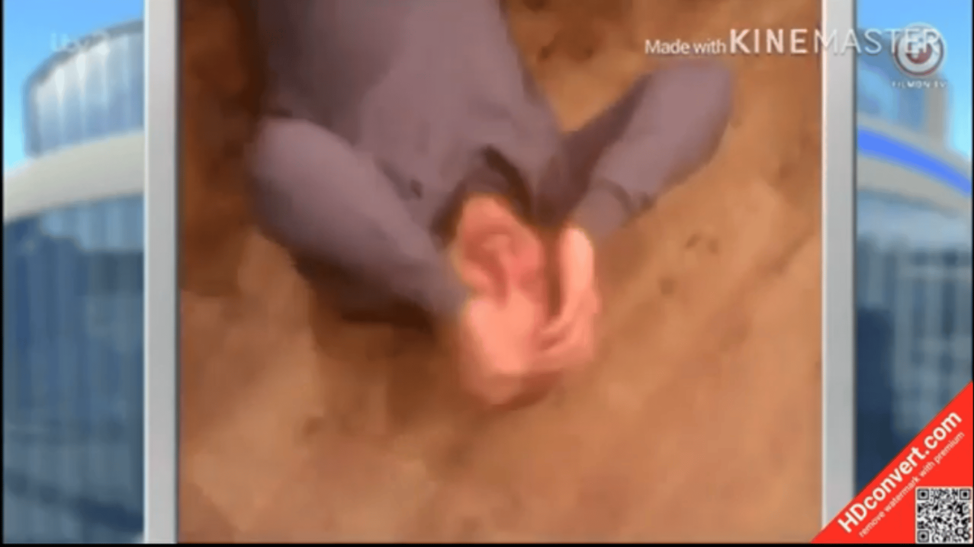 Boy