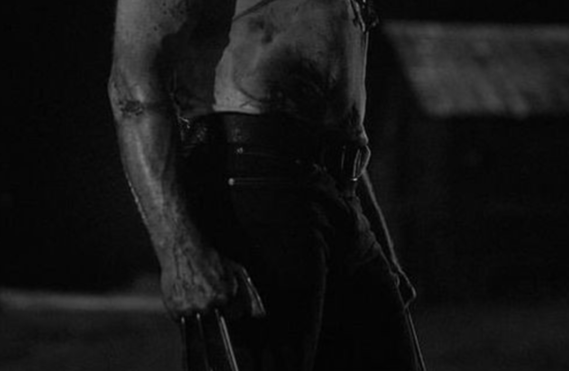 Wolverine
