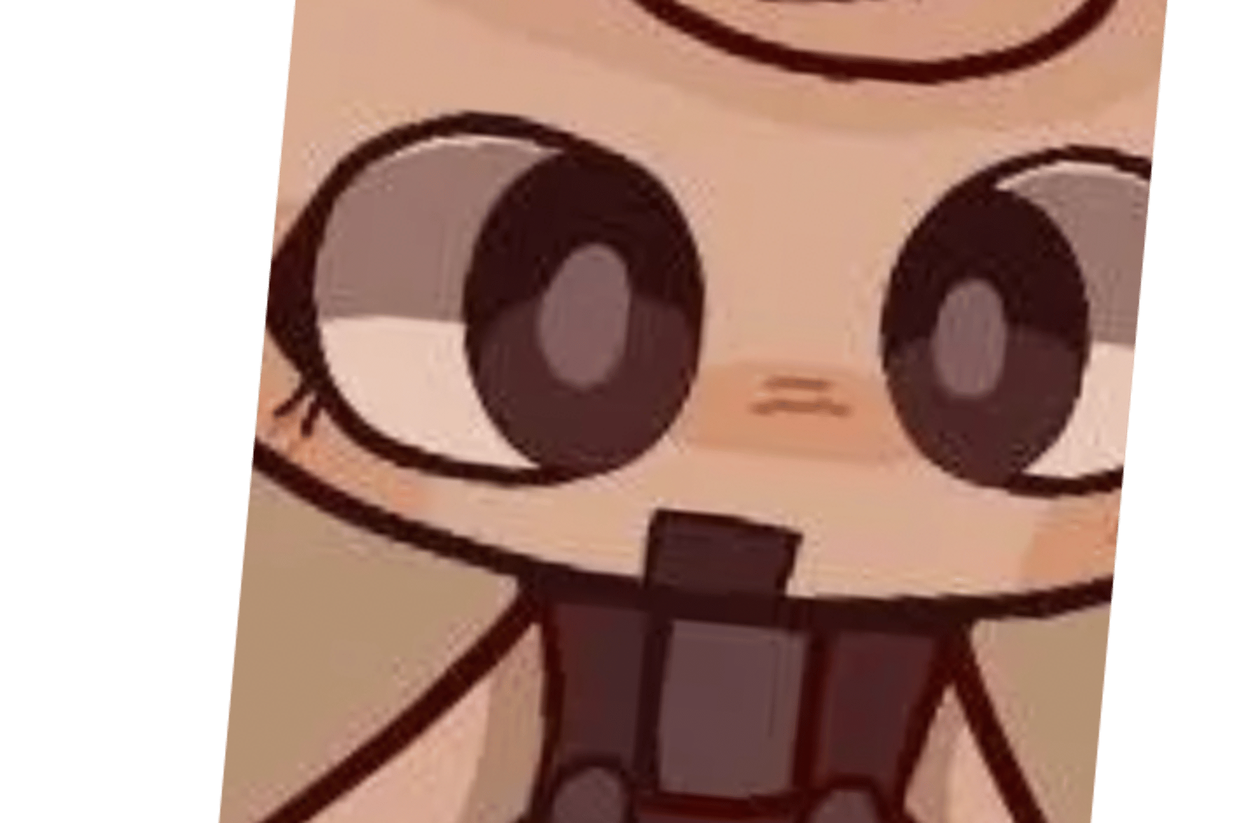 Shelly