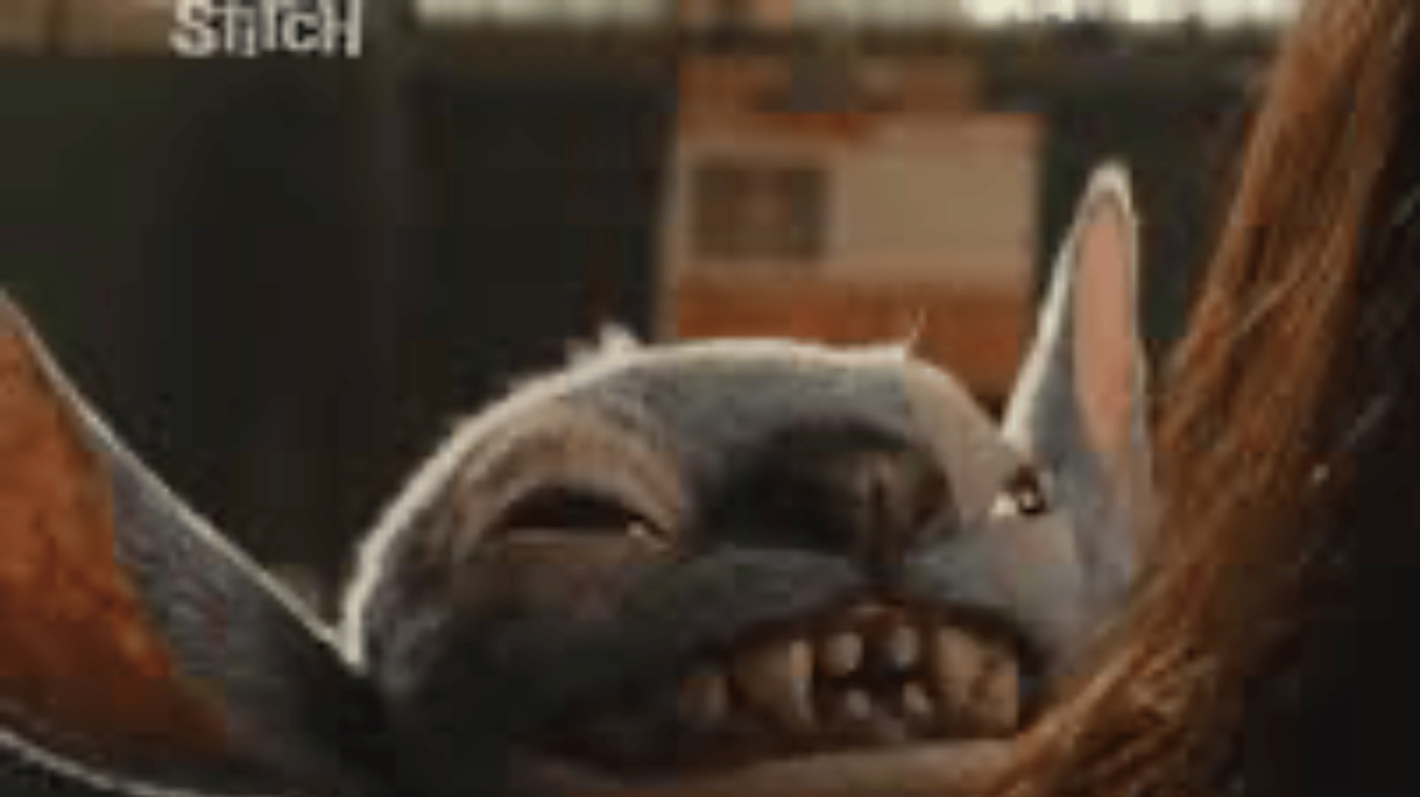 STITCH (LIVE ACTION)