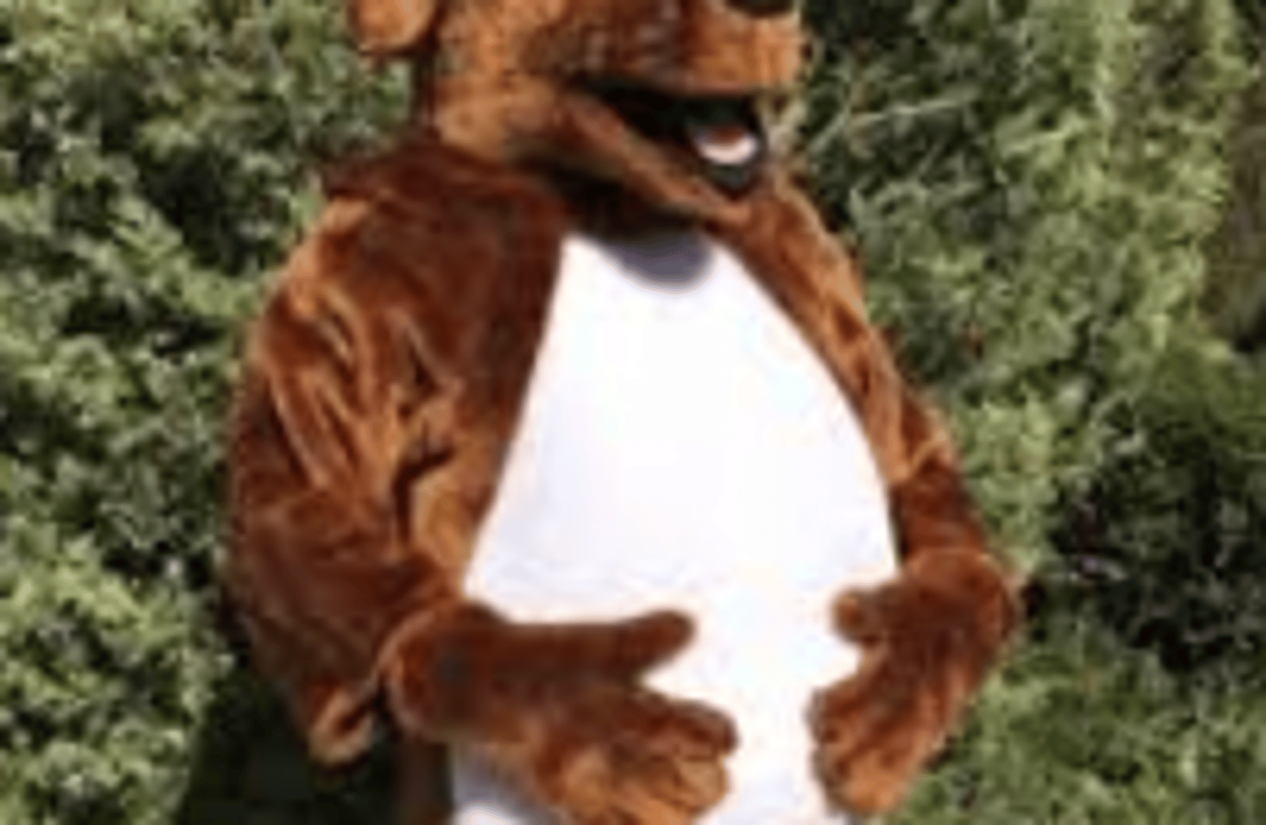 Droopy