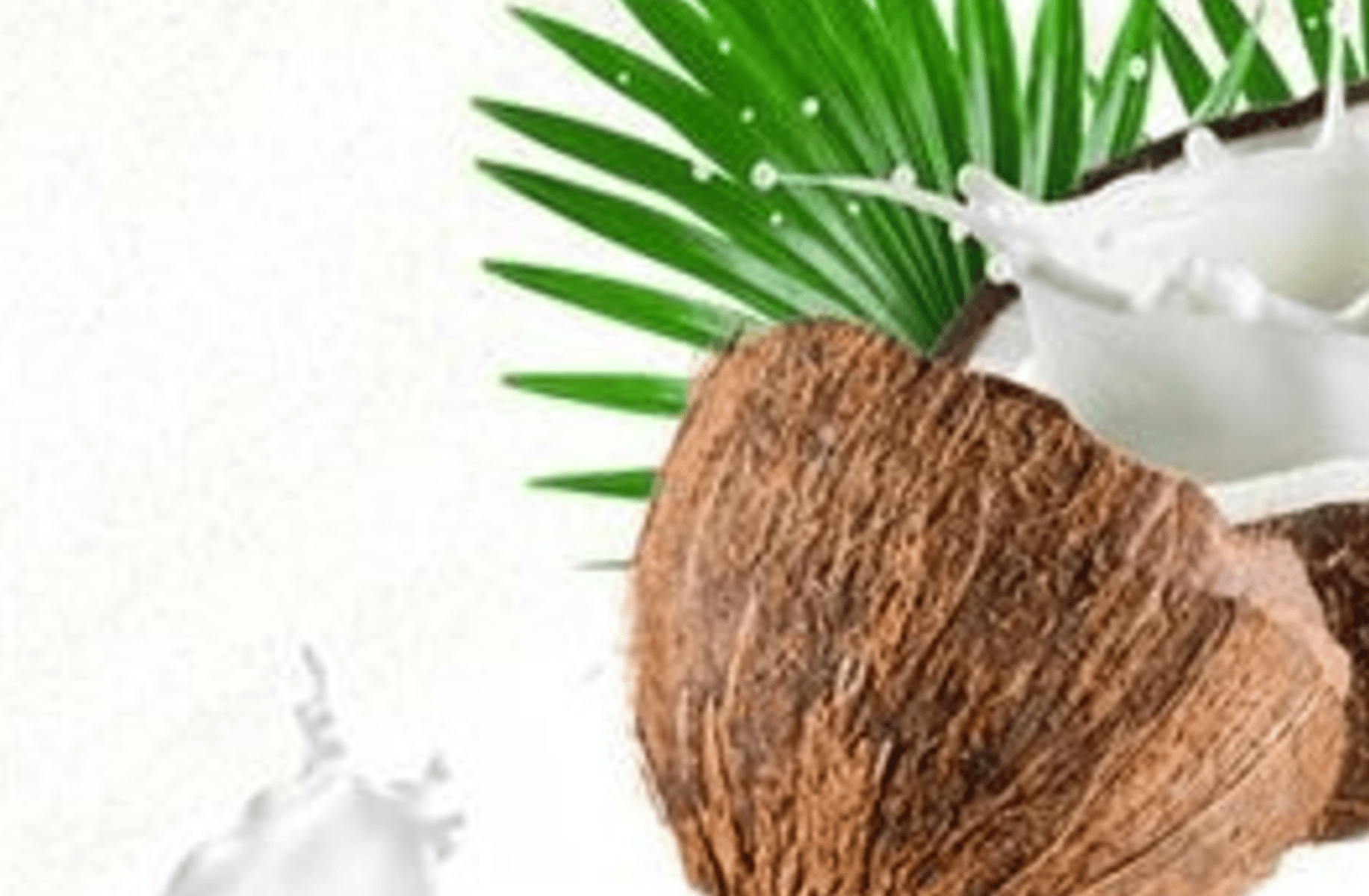 Coconut